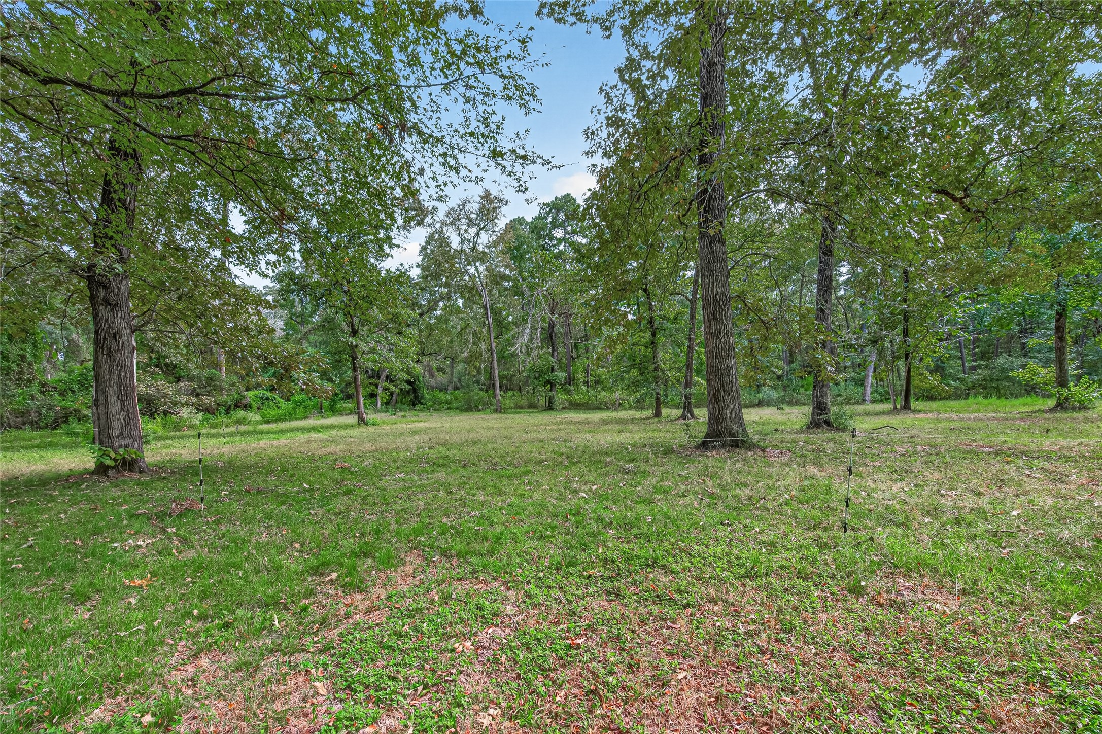 189 Hall Drive S, Montgomery, TX 77316
