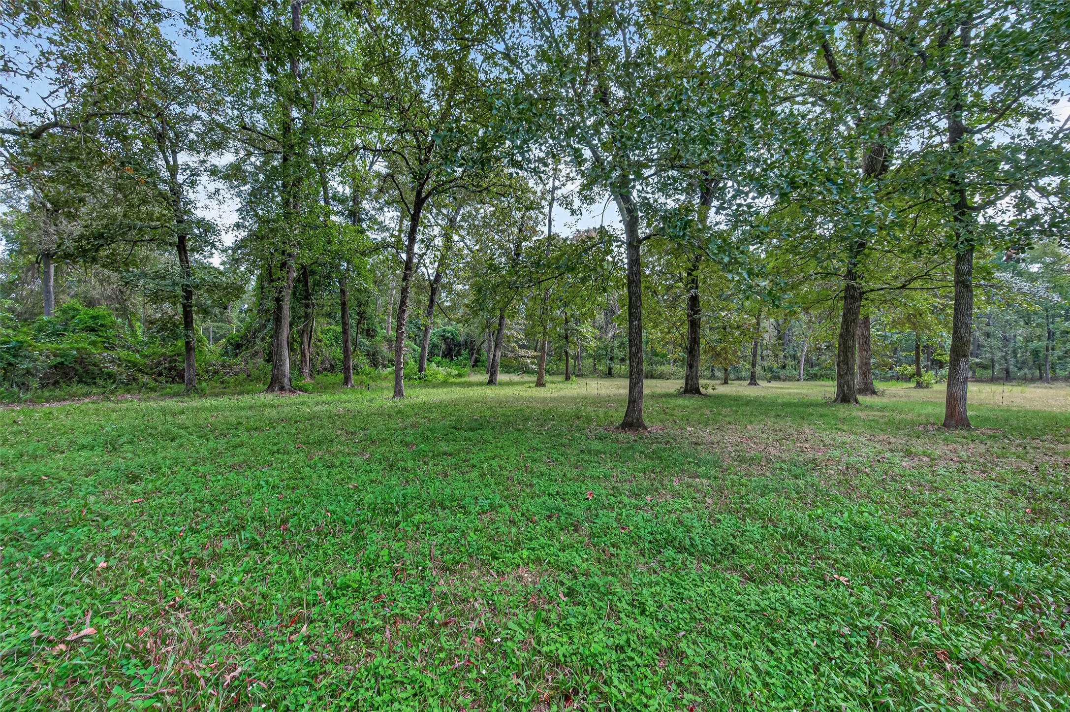 189 Hall Drive S, Montgomery, TX 77316