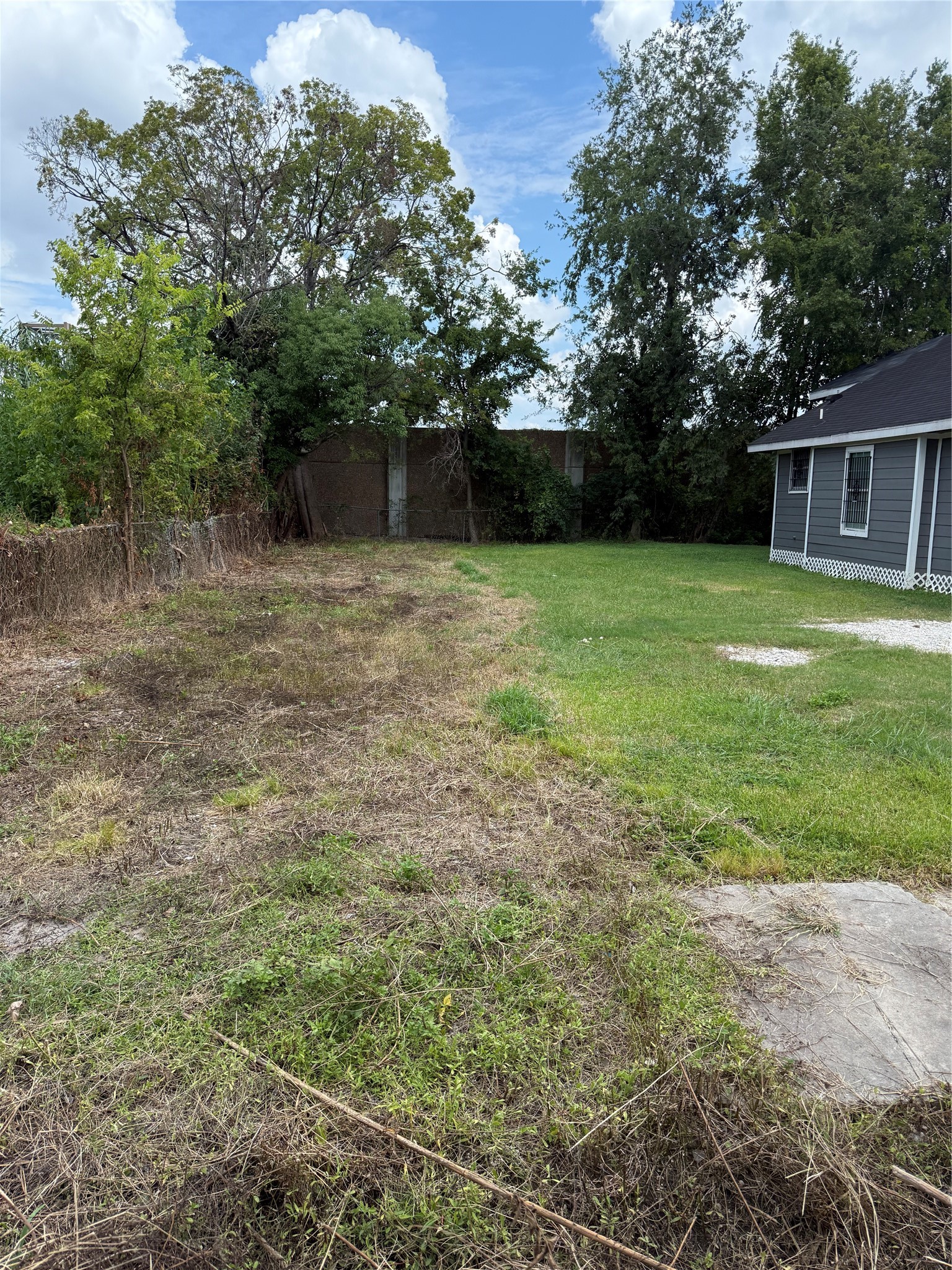 2008 Brackenridge Street, Houston, TX 77026