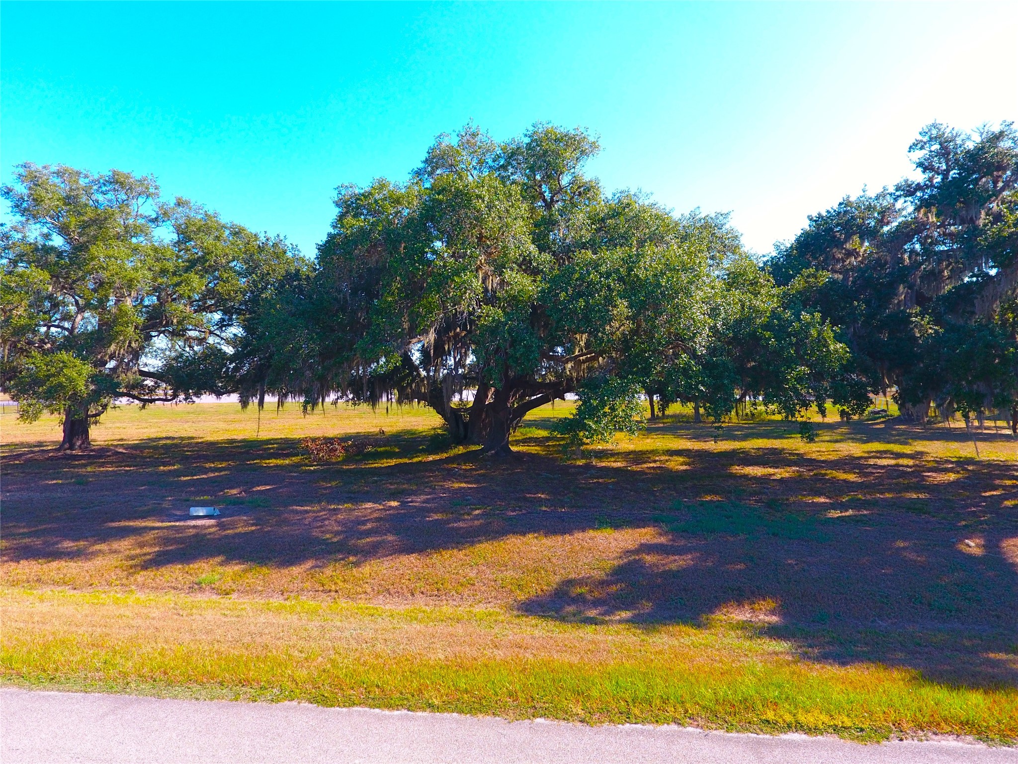 603 Lily Lane, Rosharon, TX 77583