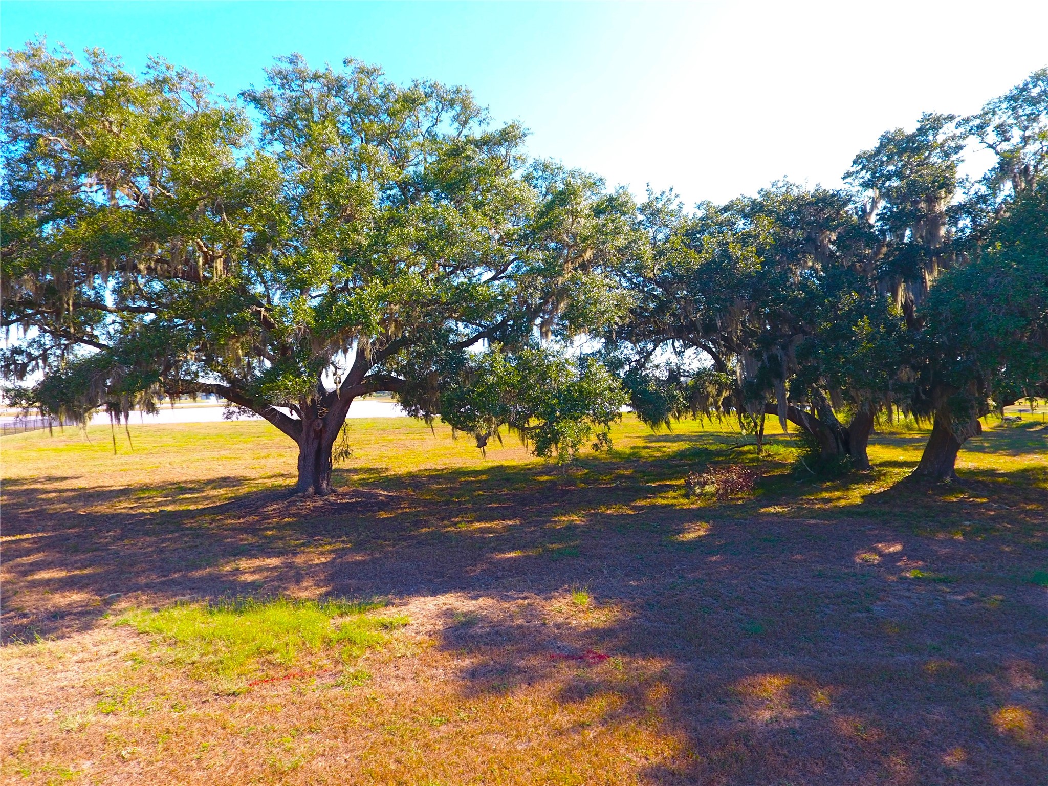 603 Lily Lane, Rosharon, TX 77583
