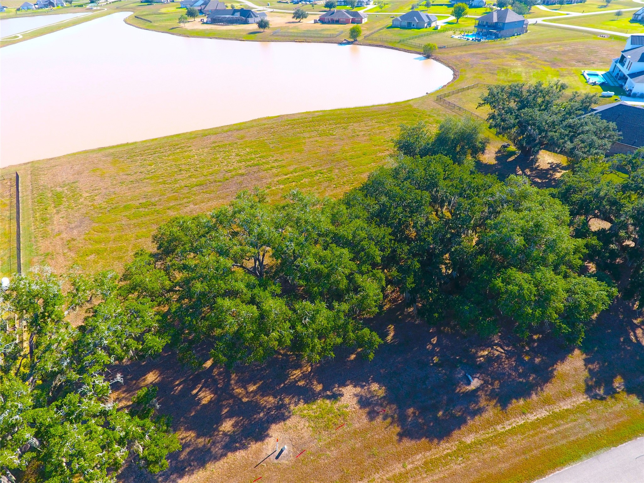603 Lily Lane, Rosharon, TX 77583