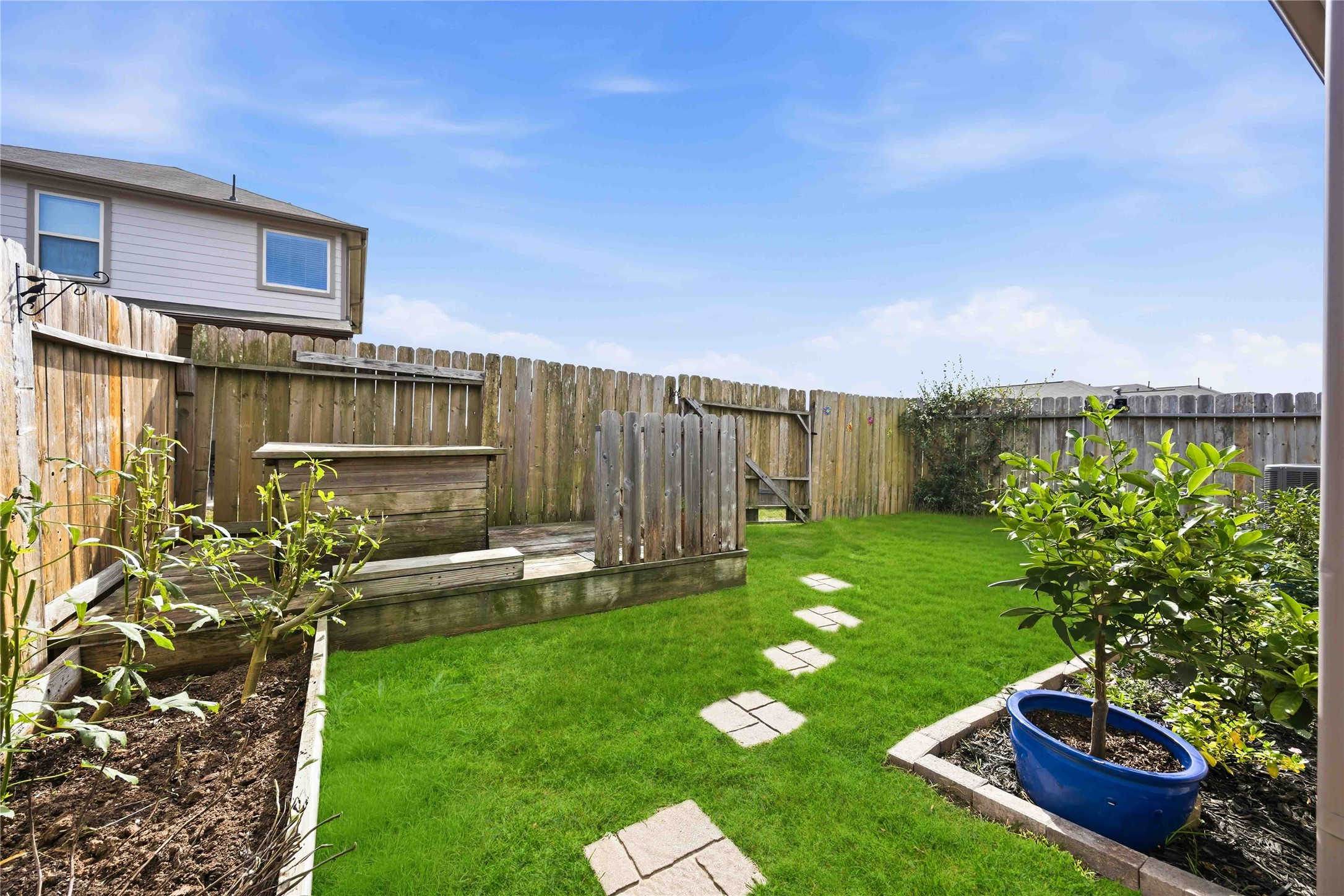 Backyard with raised beds and fruit trees.