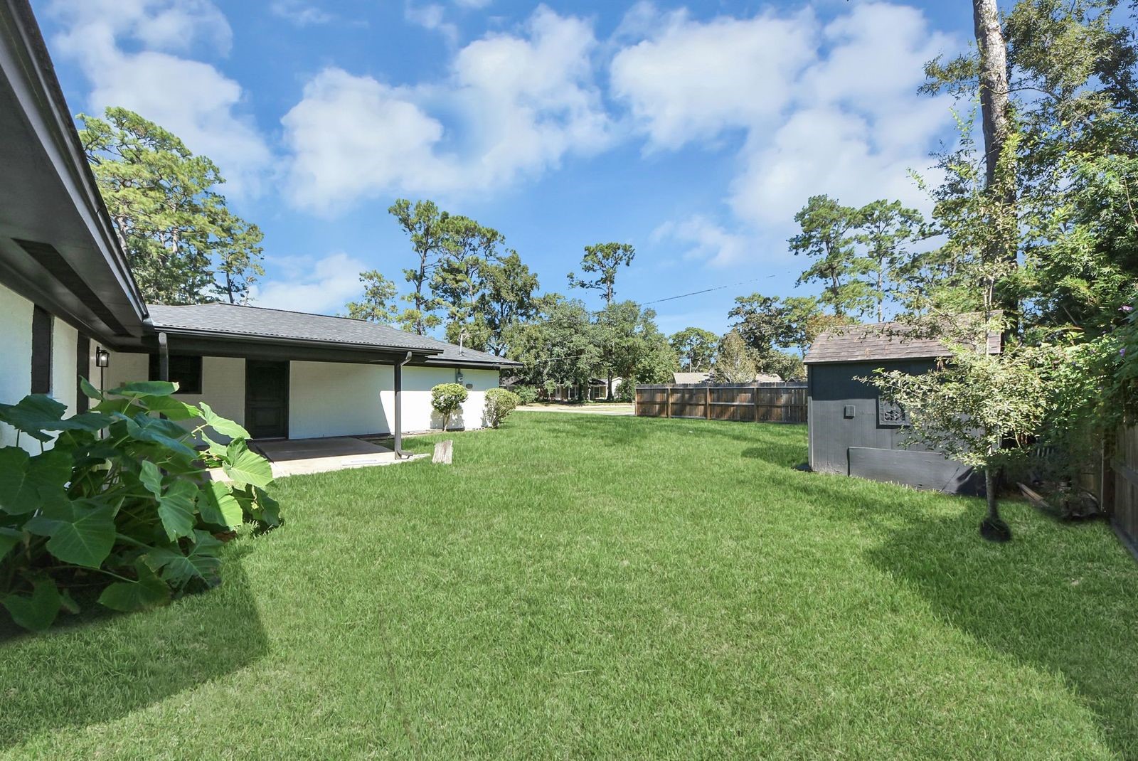 Another view of the backyard.