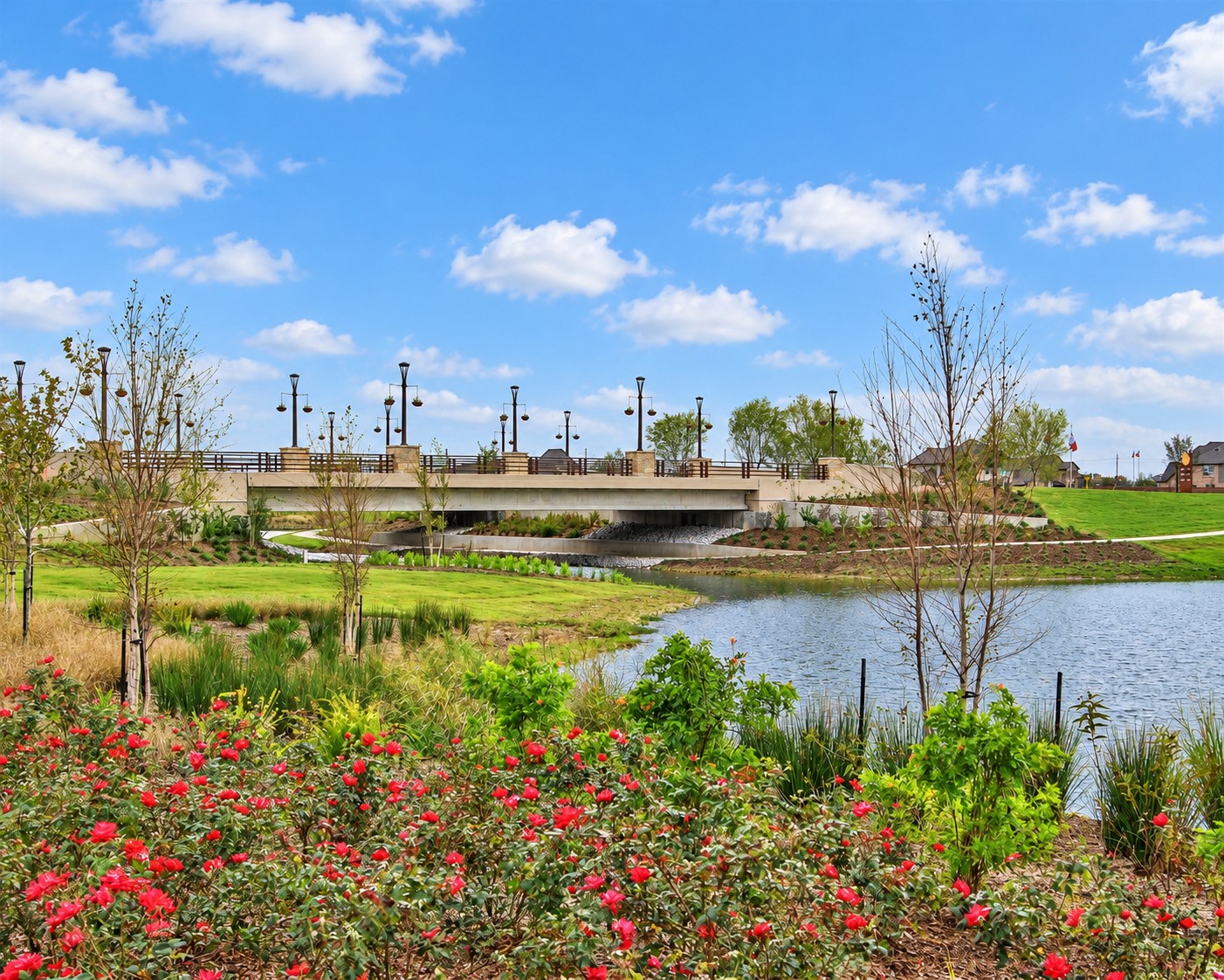 10142 Starry Night Lane, Manvel, TX 77578