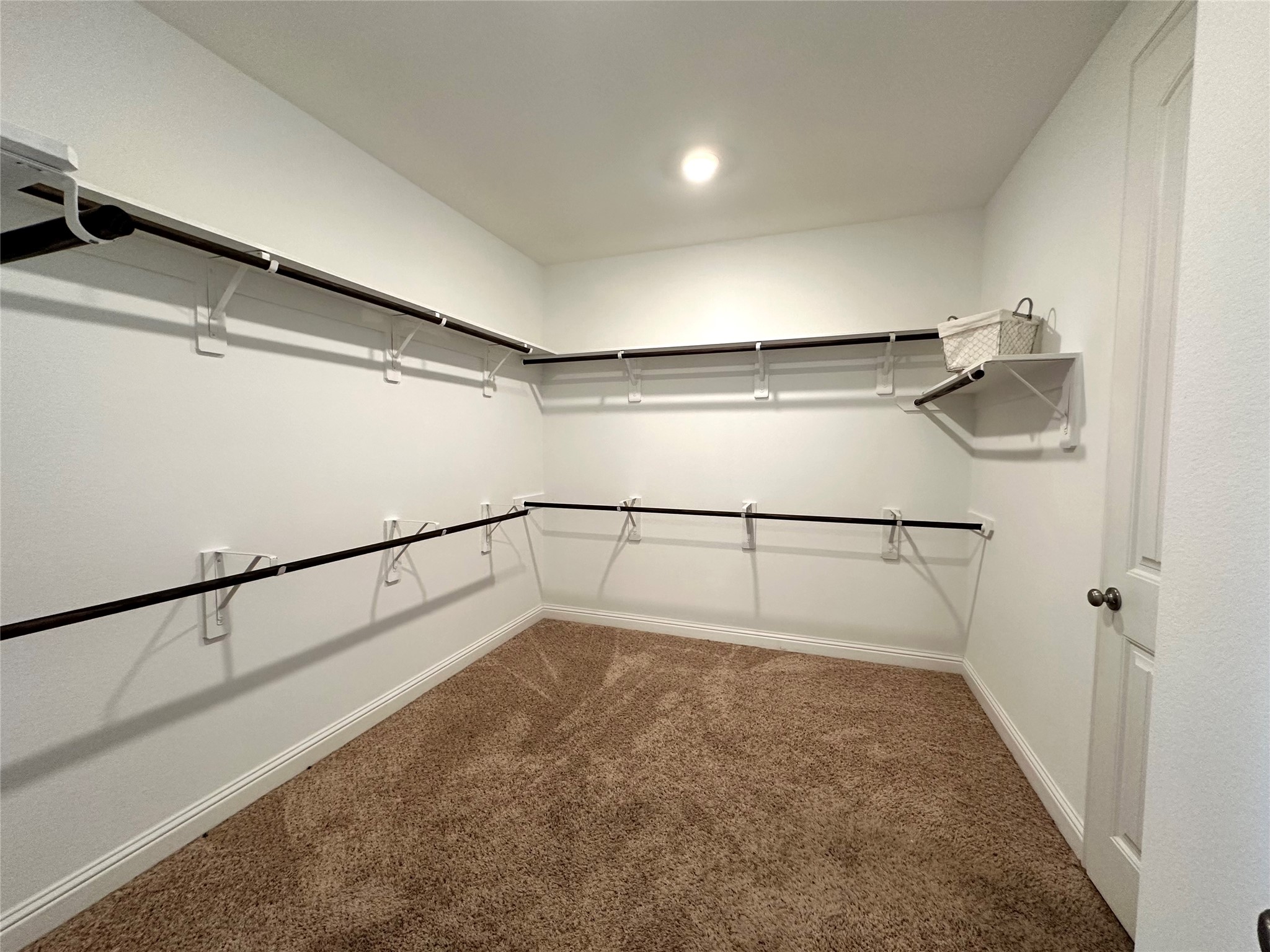 2903 Golden Honey Lane, Richmond, TX 77406