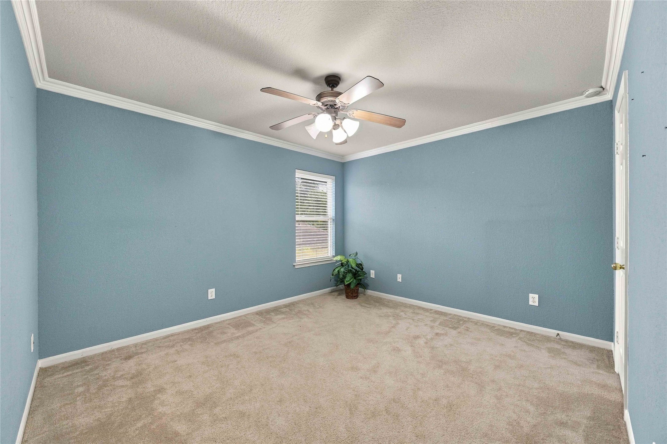 Blue Secondary Bedroom