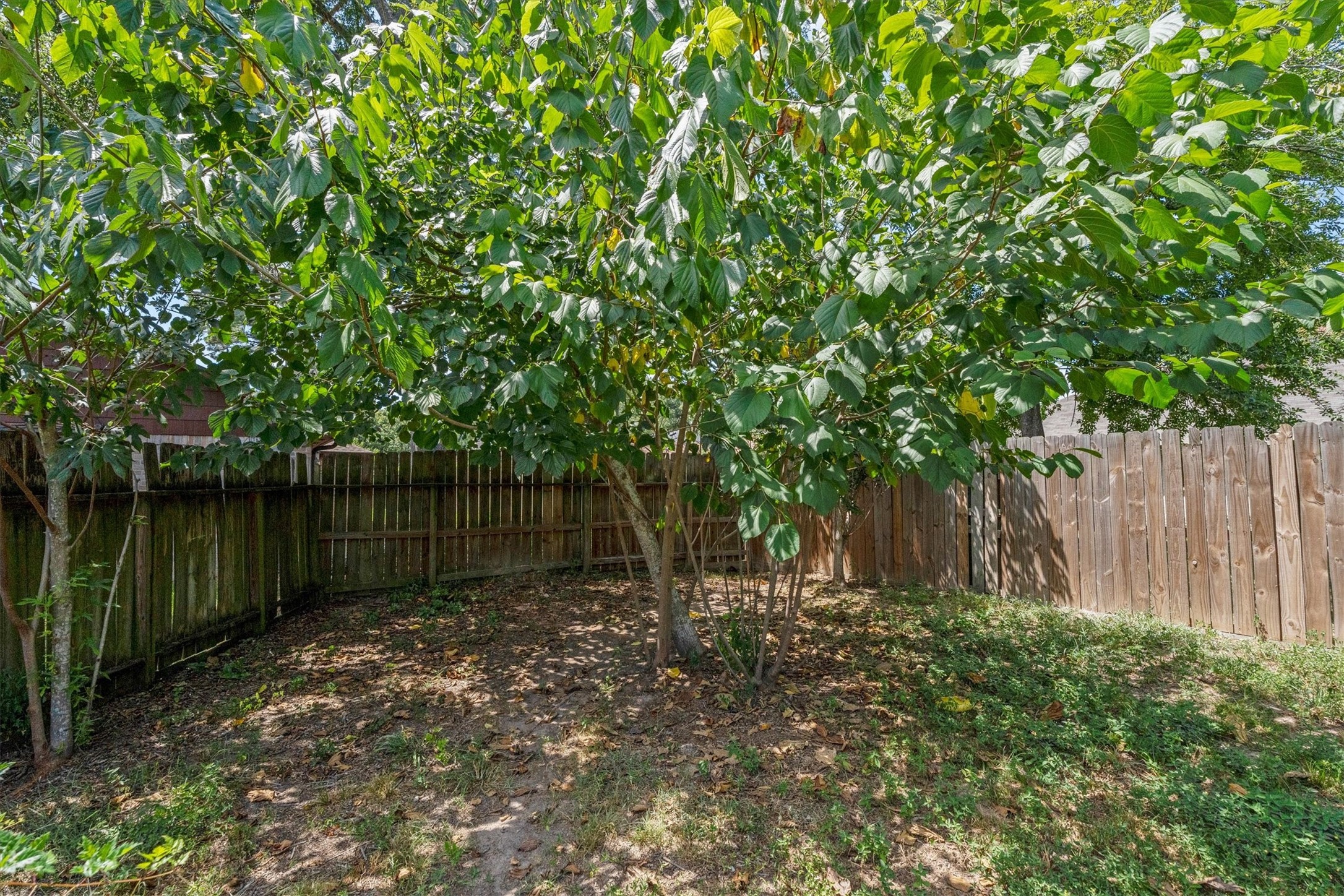 Established greenery adds a shaded retreat along the rear fence.
