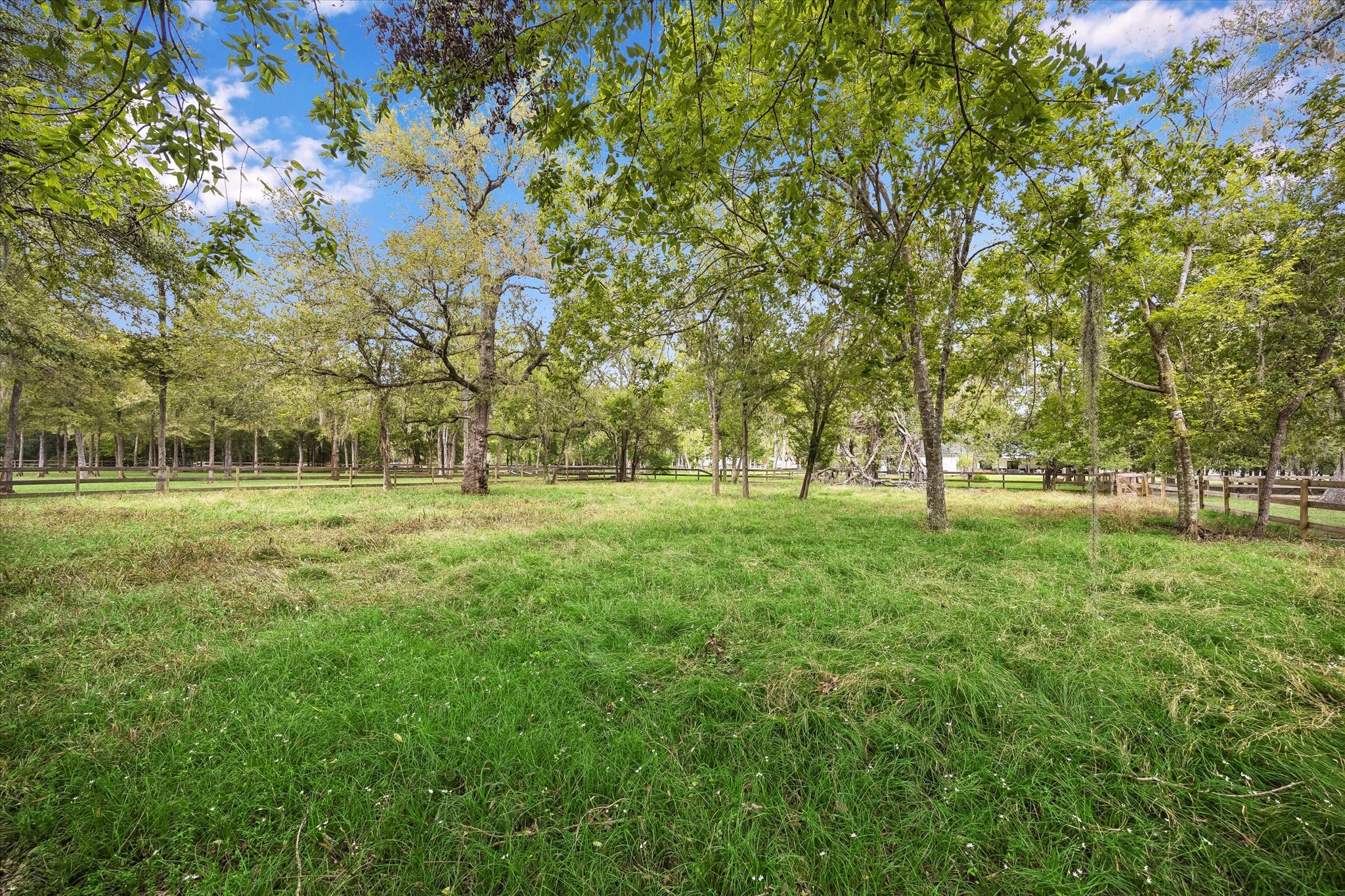3422 Woodbine Drive, Fulshear, TX 77441