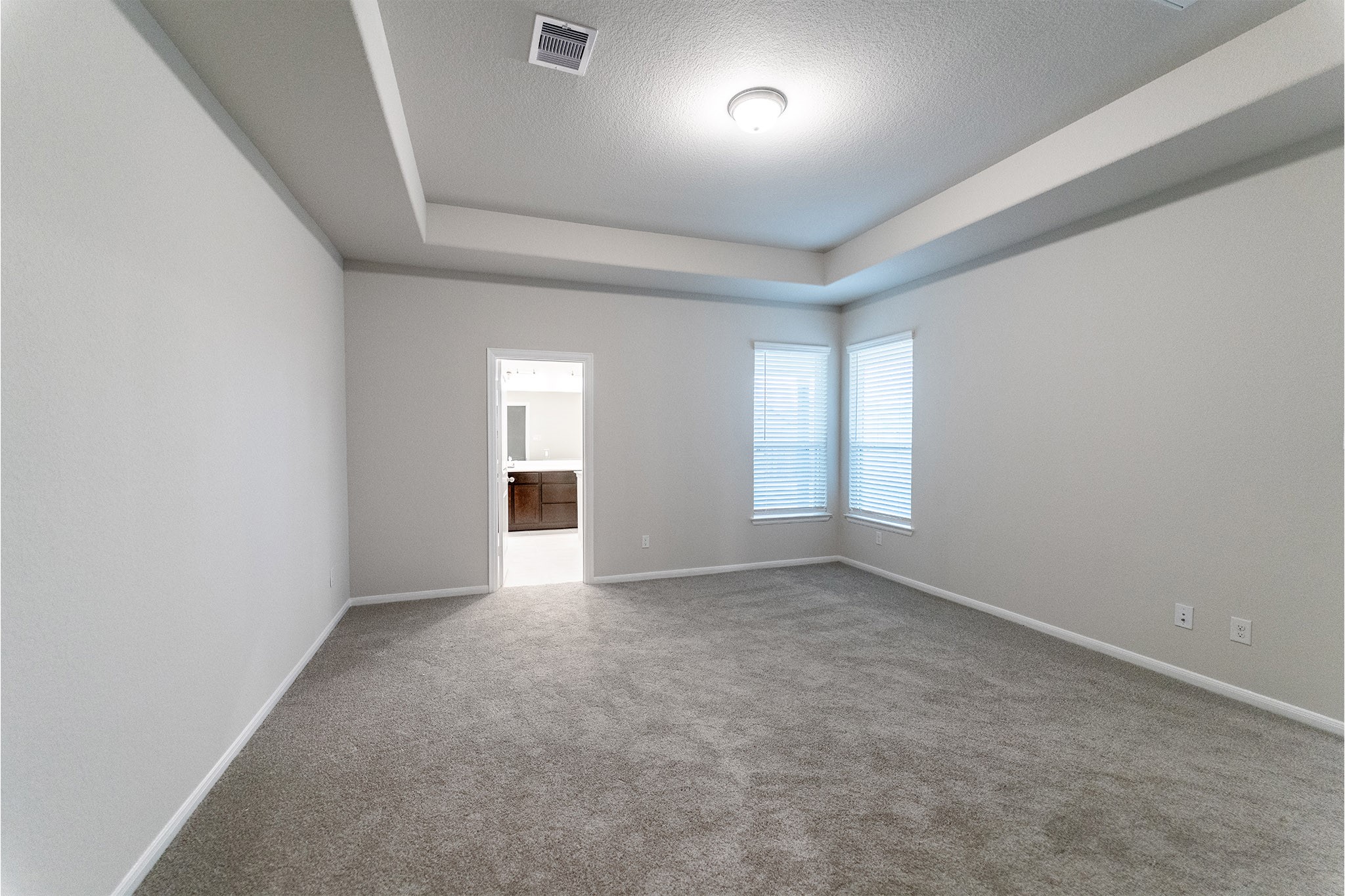 2818 Blue Iolite Drive, Iowa Colony, TX 77583