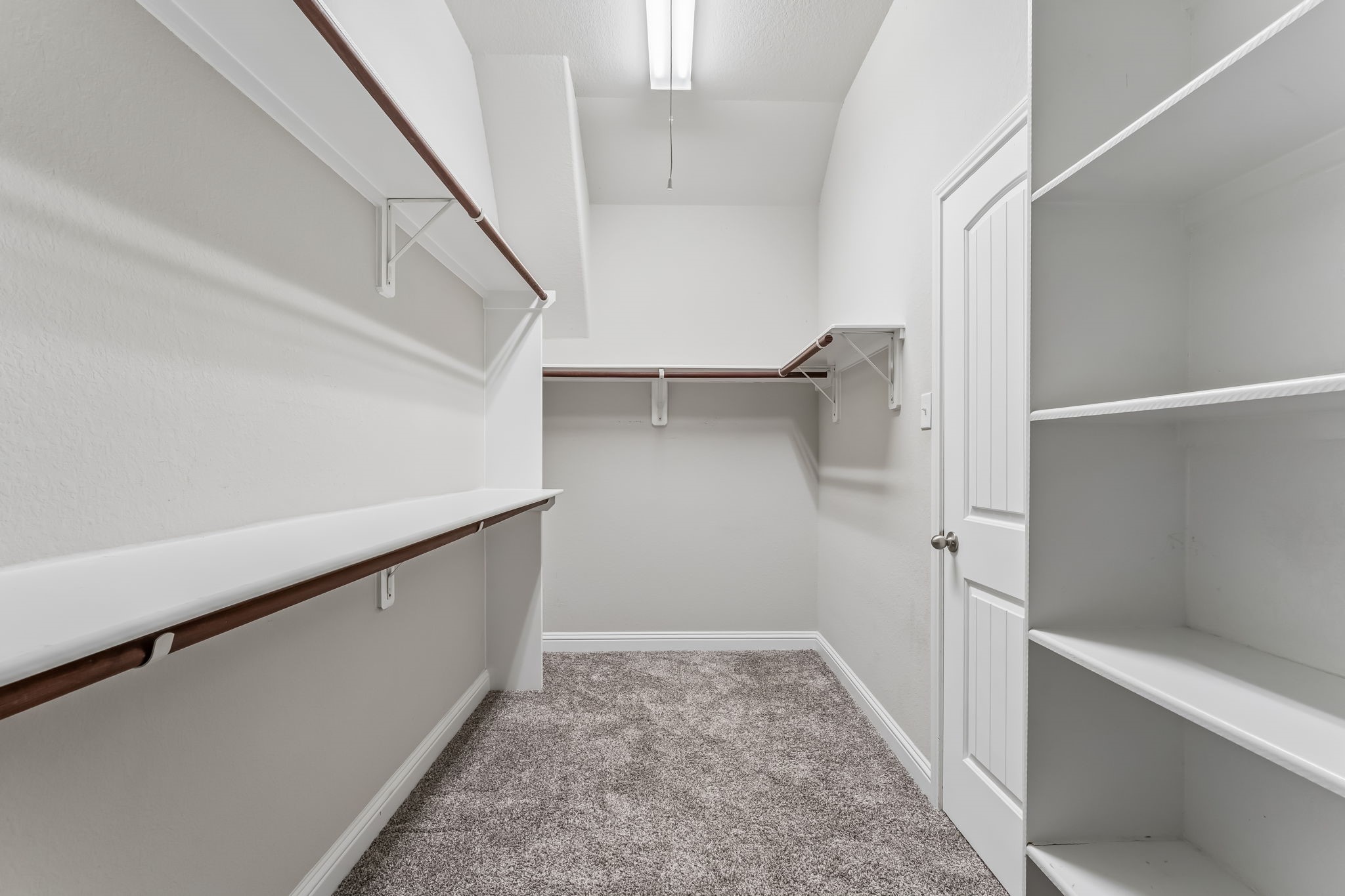 Spacious walk-in closet featuring ample shelving and hanging space, complemented by plush carpeting and bright lighting.