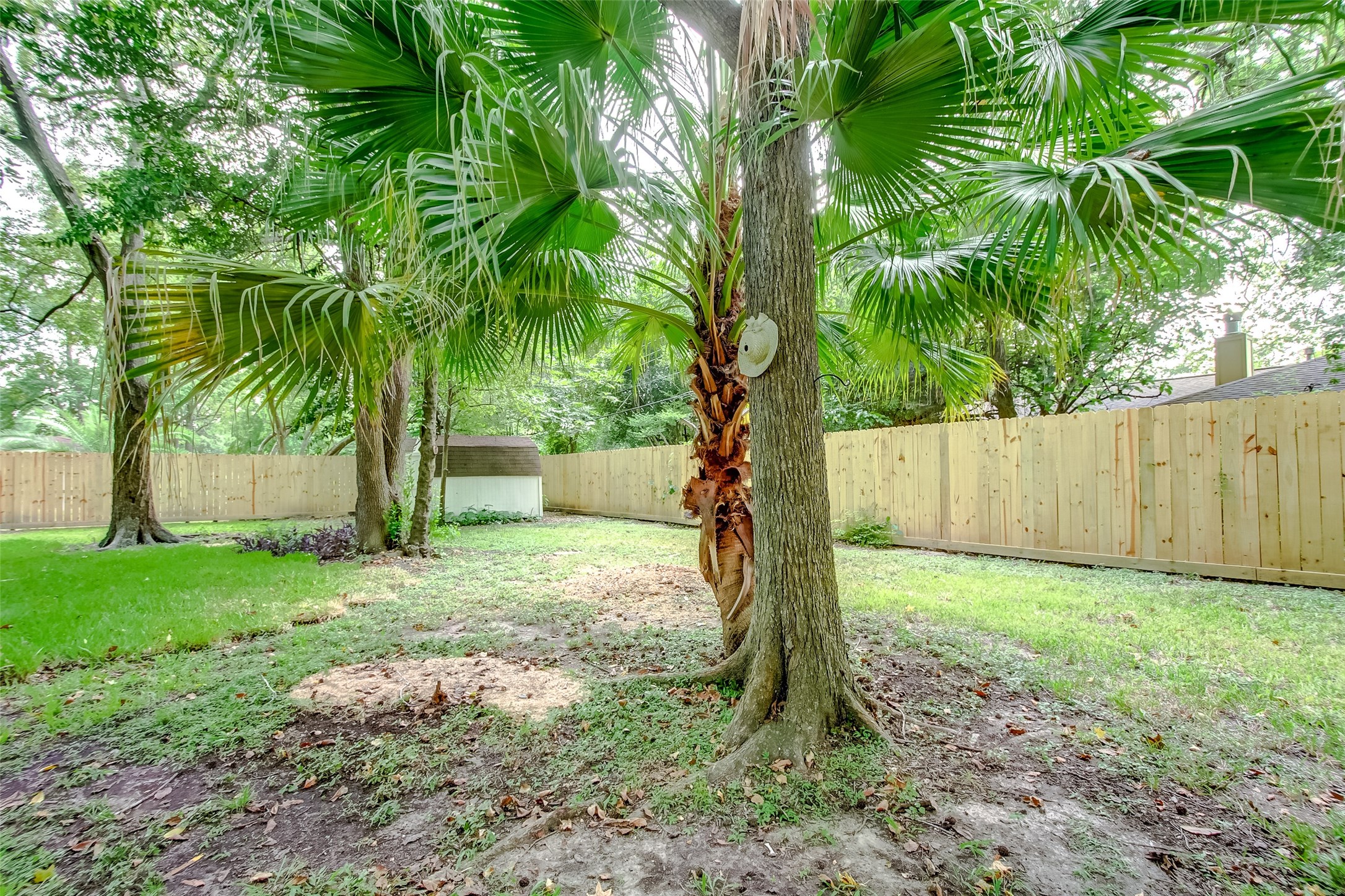 3515 Mona Lee Lane, Houston, TX 77080