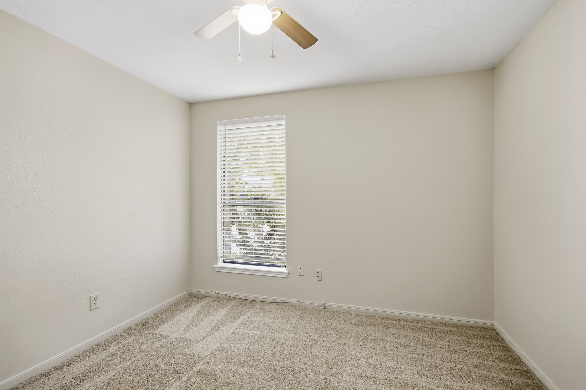 Second bedroom featuring carpet flooring, a ceiling fan, and a window providing natural light.