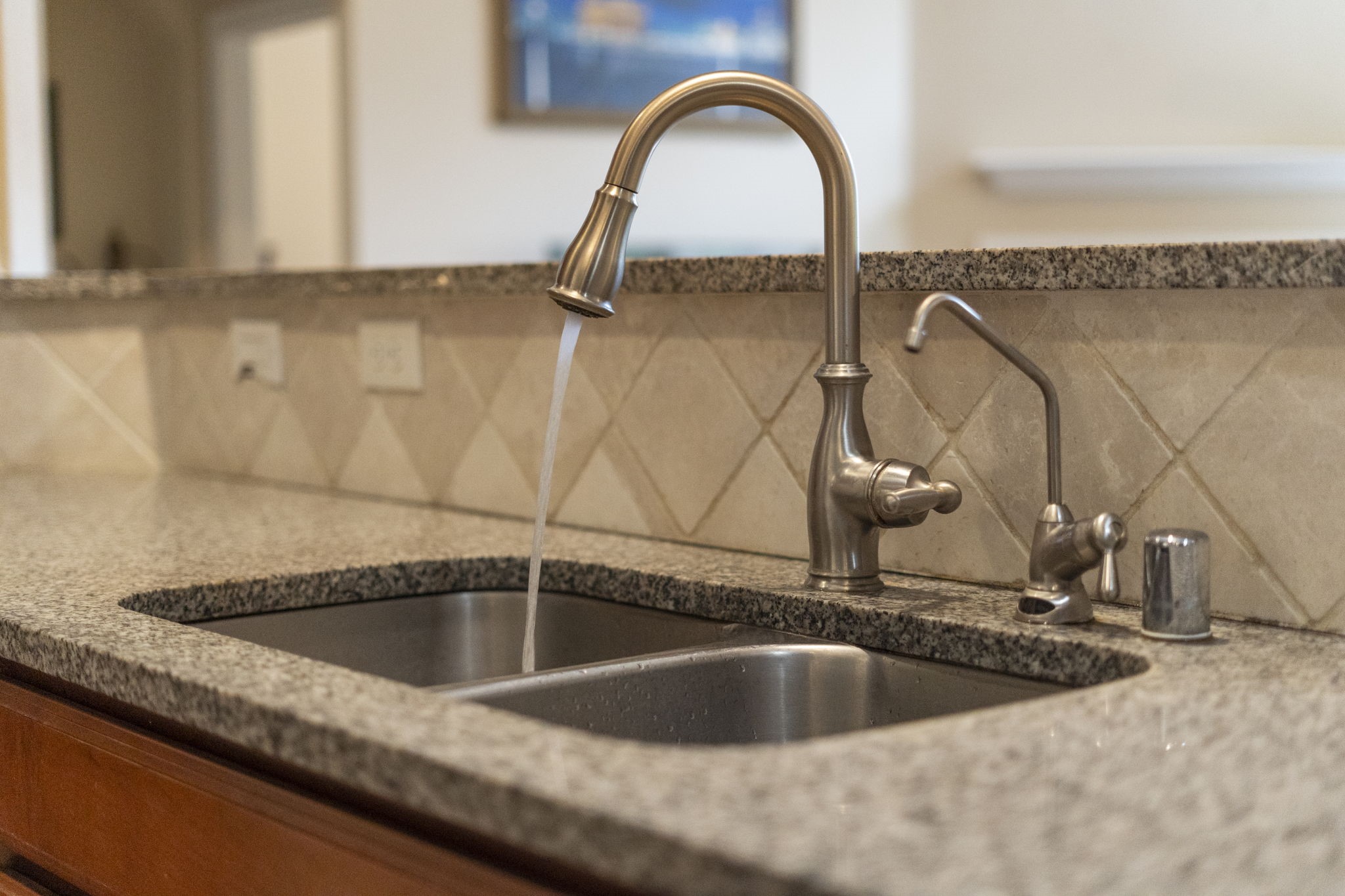 Double-basin stainless steel sink with a pull-down faucet and a separate water filtration faucet.