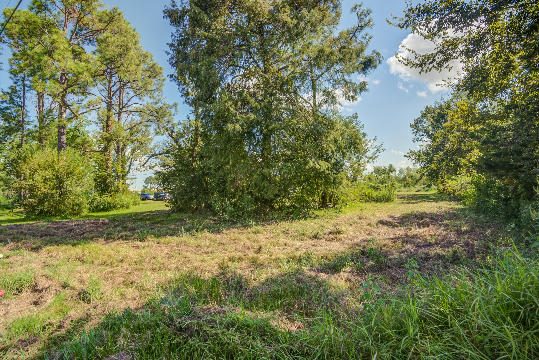 3701 Avenue J, Santa Fe, TX 77510
