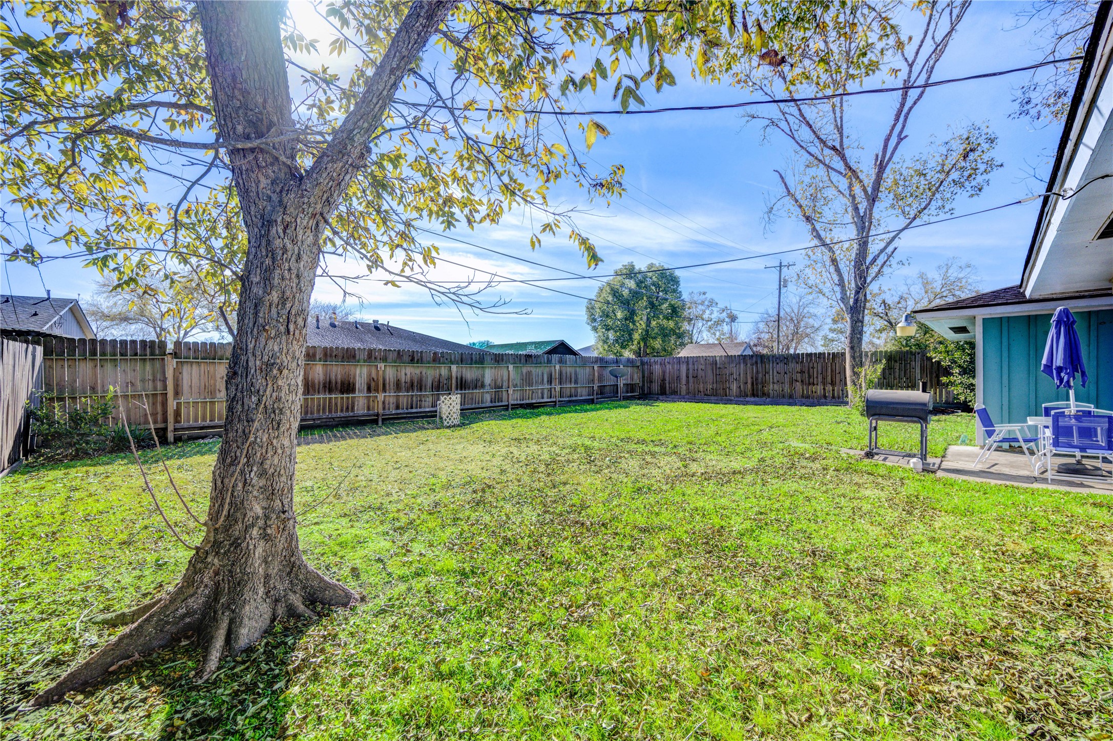 Another view of the backyard.