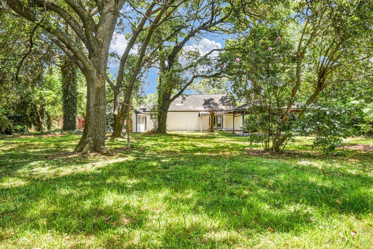 Mature trees on the property