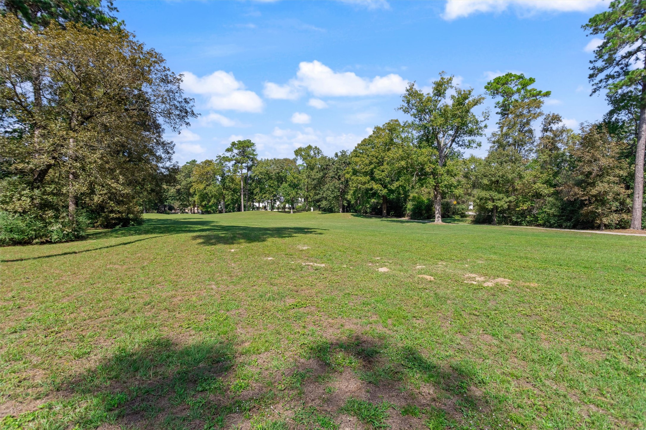 This 13 Royal Dalton Circle home is one of the few properties backing directly onto the greenspace of the former Wedgewood Golf Course. Now maintained by the City of Conroe, this expansive area offers scenic walking and jogging paths along the former cart trails. Best of all, you can enjoy the privacy and tranquility of having no rear neighbors.