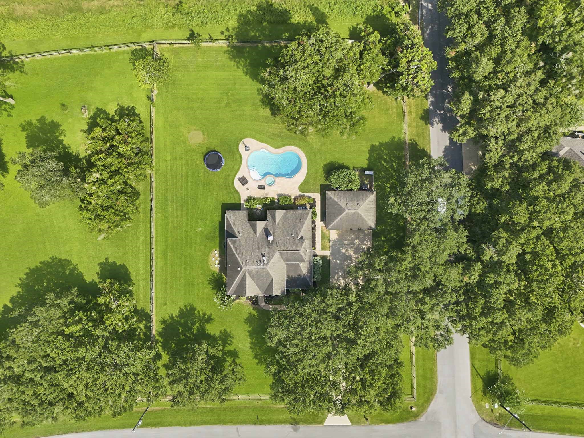 Picturesque view of the beautifully wooded property with towering mature trees. Picturesque view of the beautifully wooded property with towering mature trees.