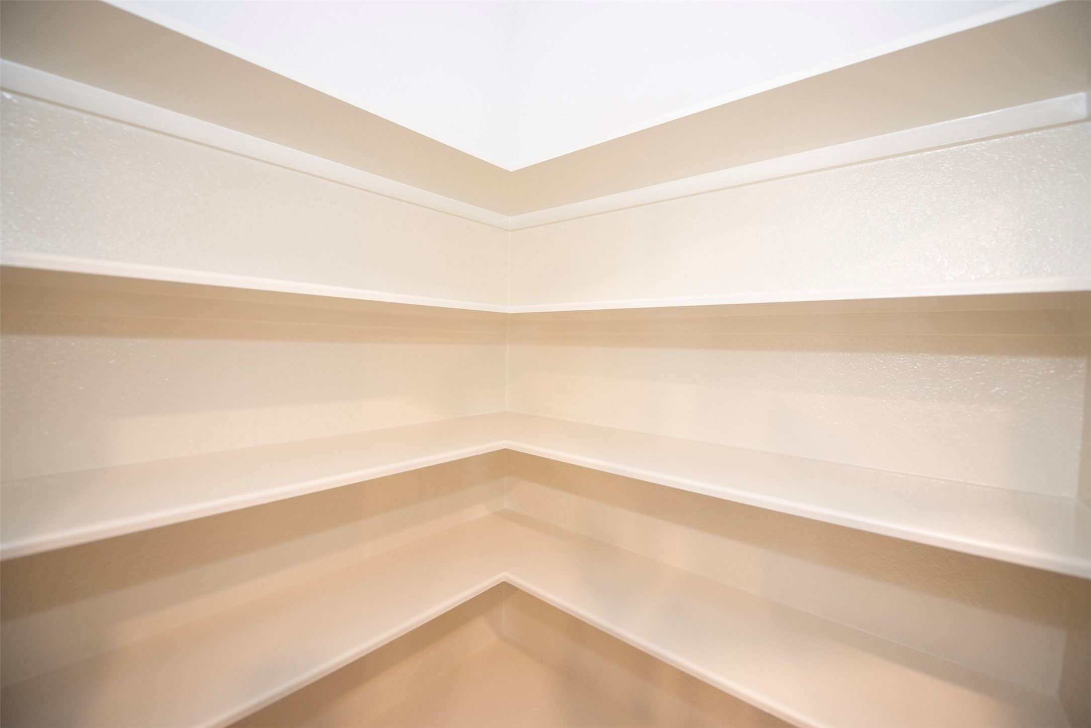 Huge pantry with 4 levels of shelving. Perfect for all of your canned and dry goods.