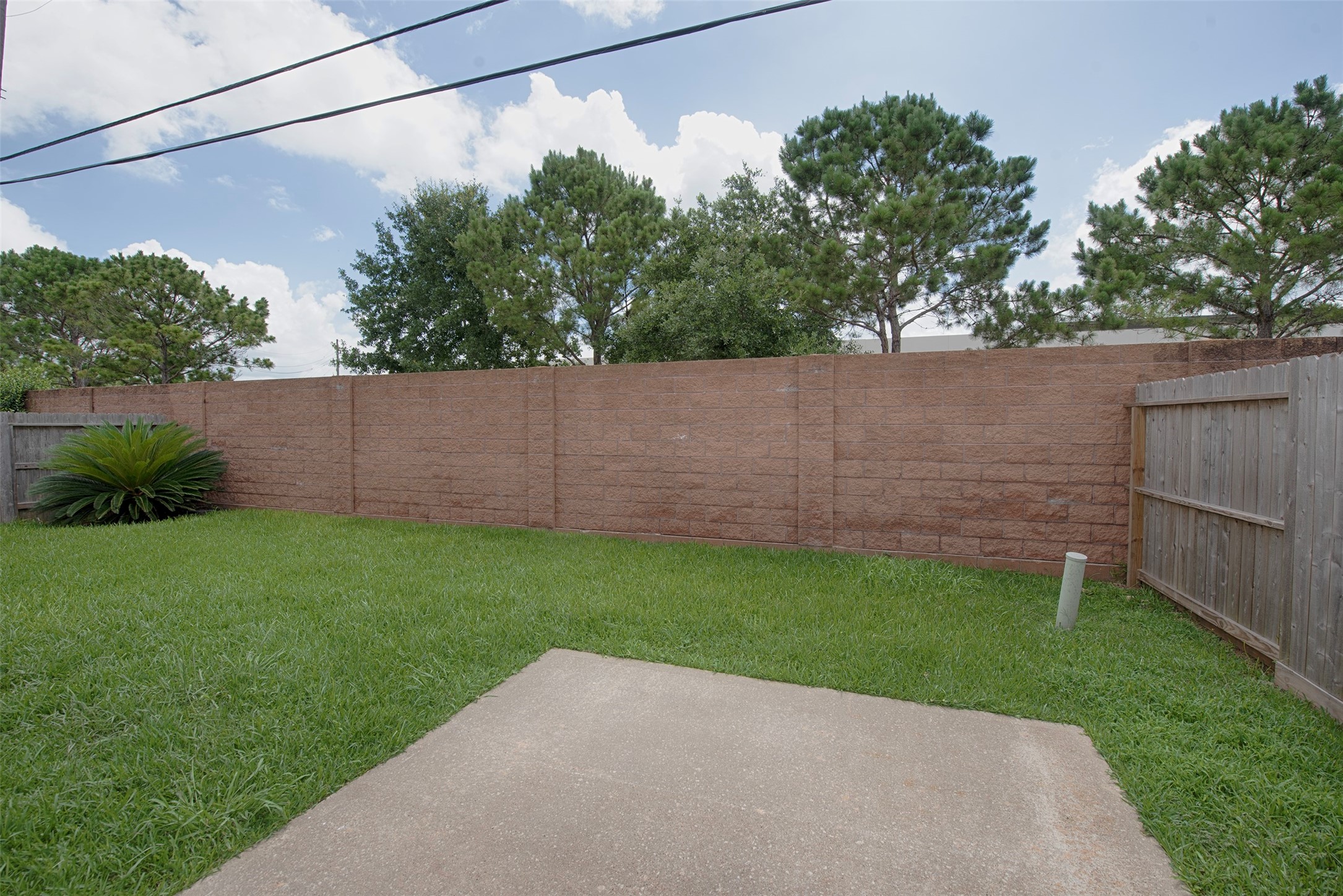 Great back patio for setting up the BBQ and outdoor dining.