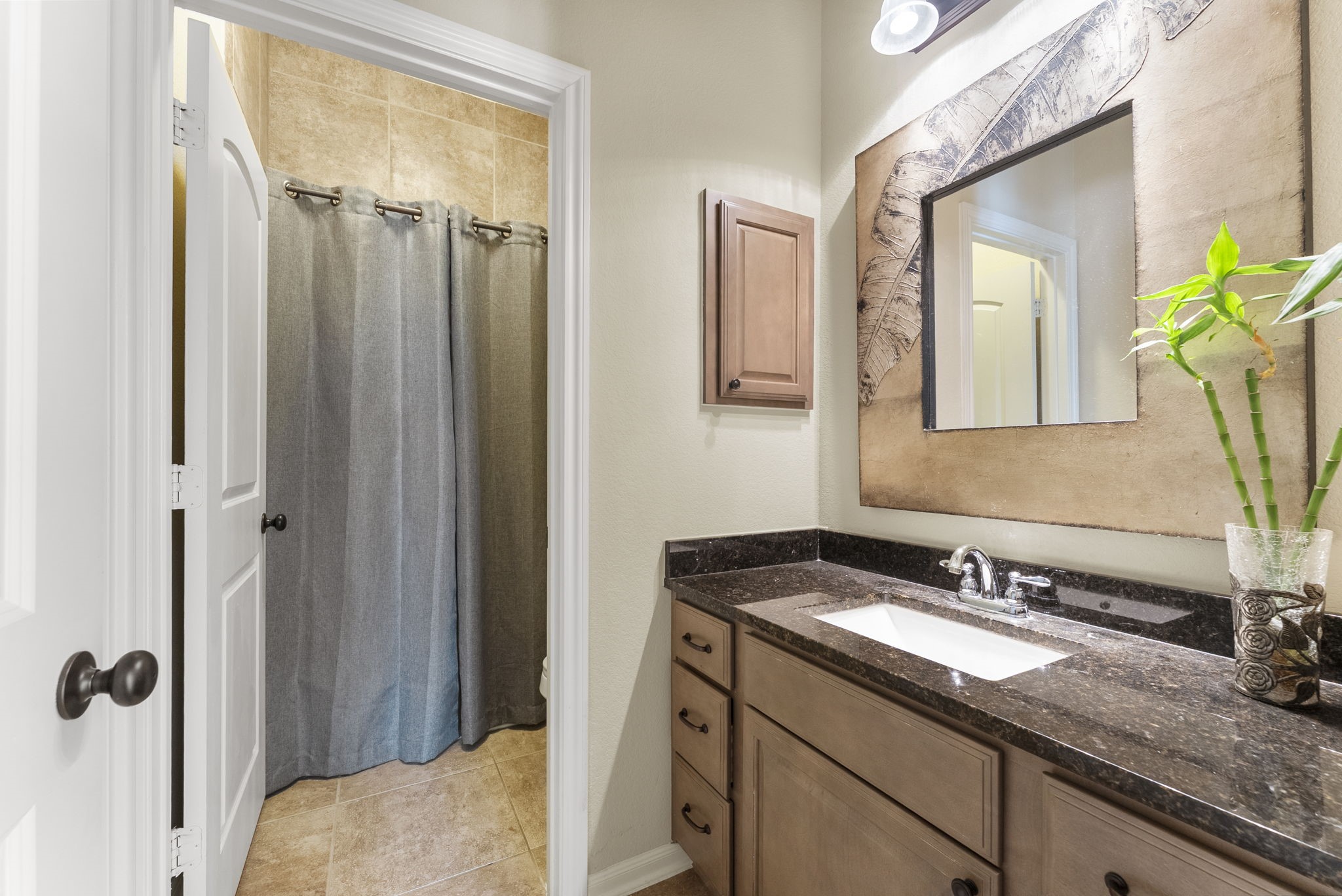 19610 Crystal Ivy Lane, Spring, TX 77388