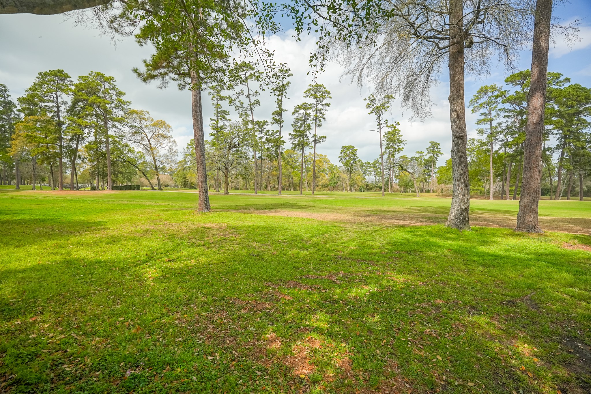 24710 Creekview Drive, Spring, TX 77389