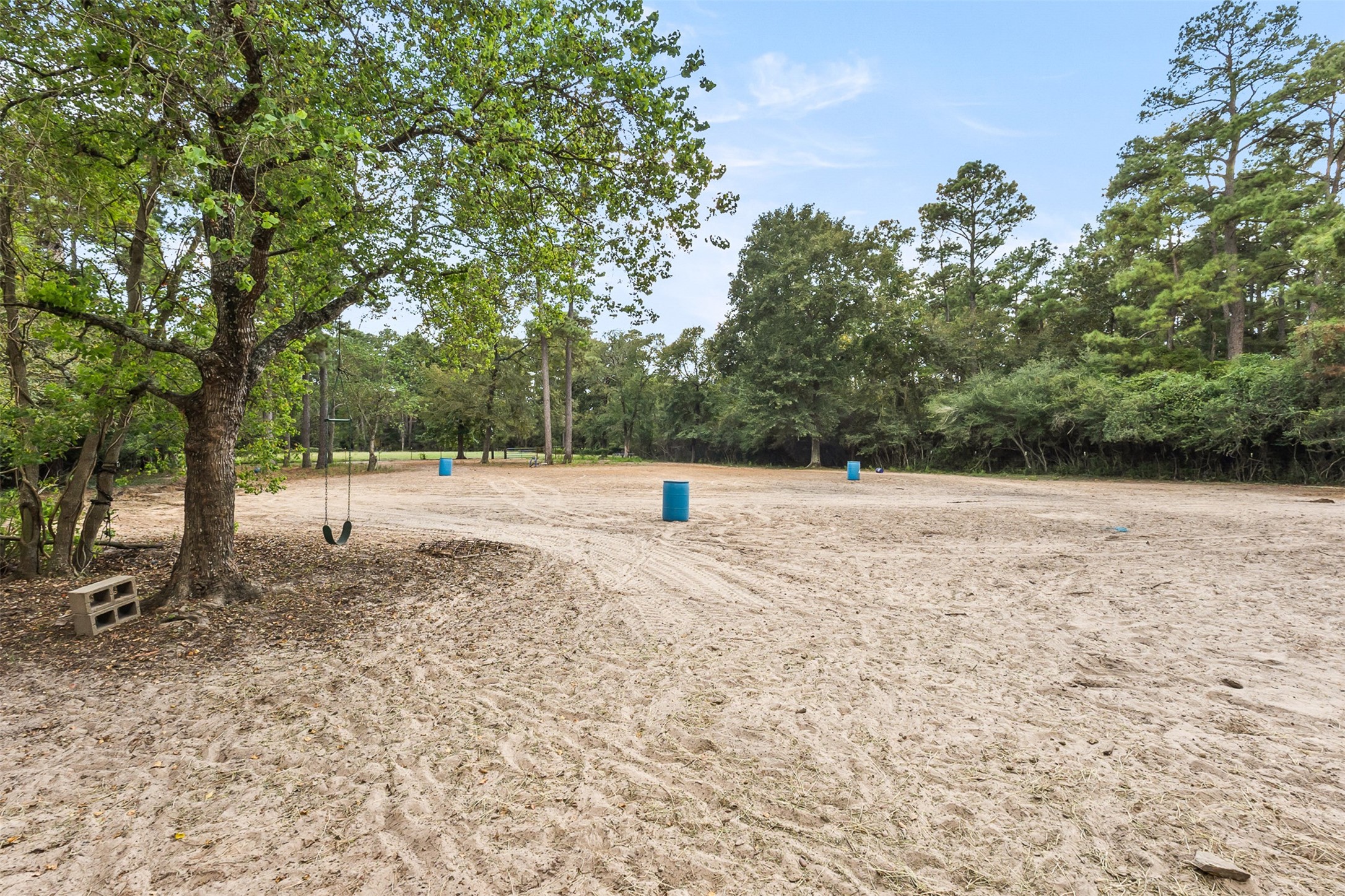 15303 Stagecoach Road, Stagecoach, TX 77355