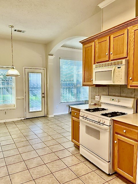 19411 Briarsedge Court, Katy, TX 77449