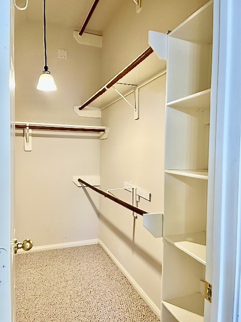 19411 Briarsedge Court, Katy, TX 77449