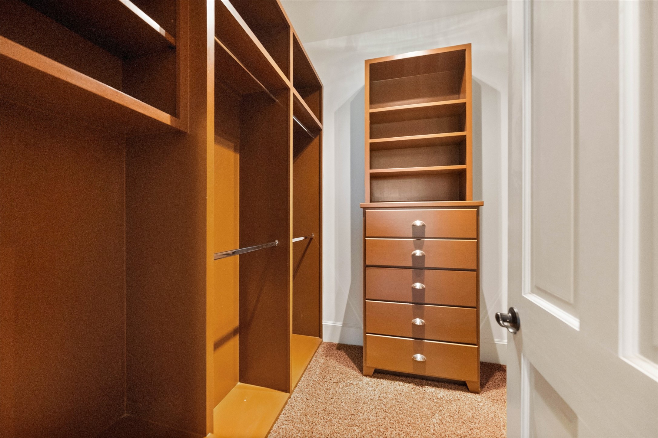 Expansive second walk-in closet in the primary bath for ultimate convenience.
