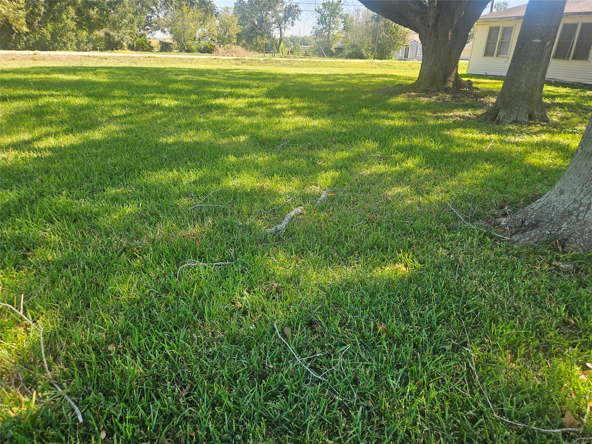 1219 Bernard Avenue, Rosenberg, TX 77471