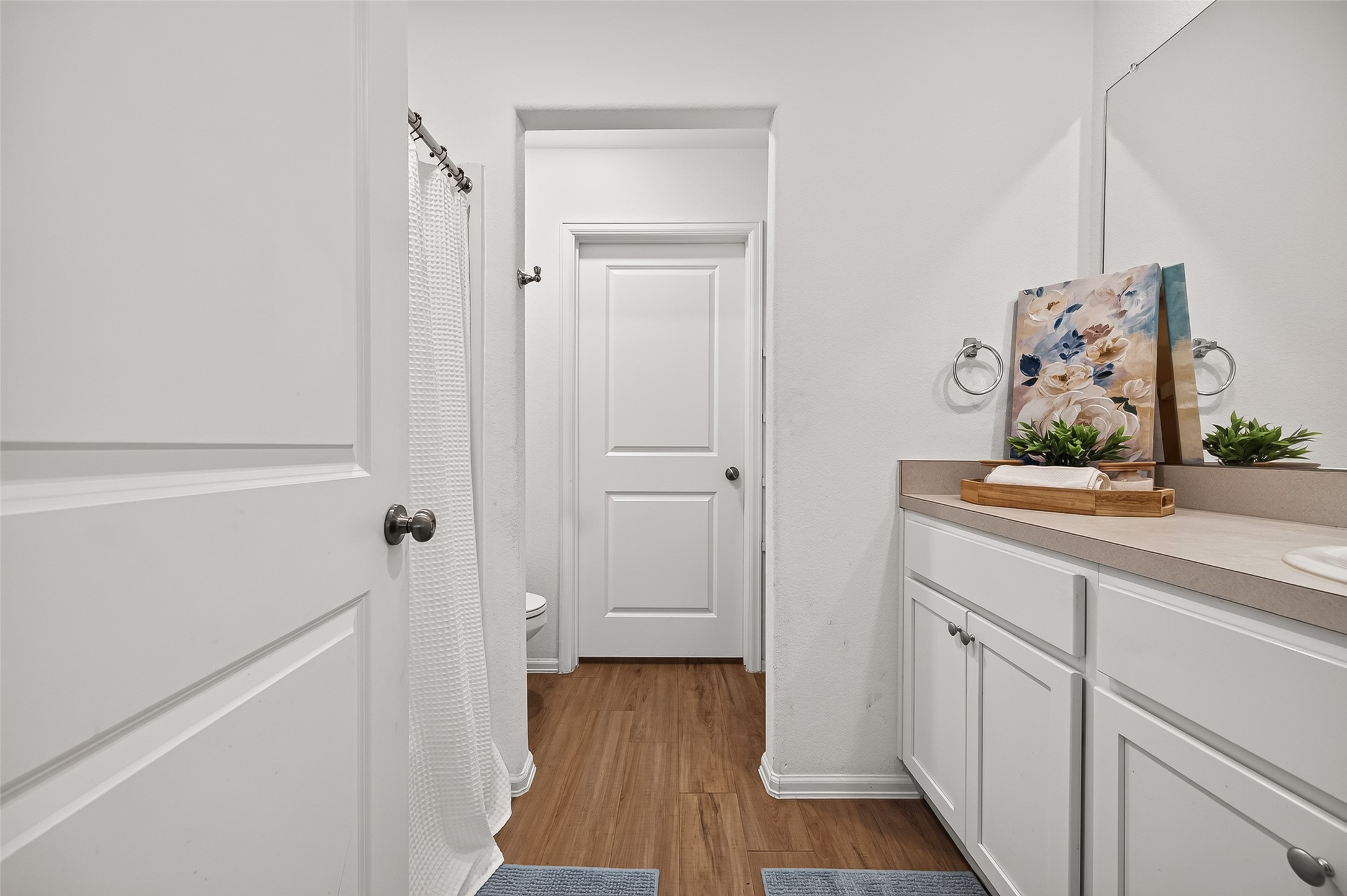 Primary bathroom and walk in closet