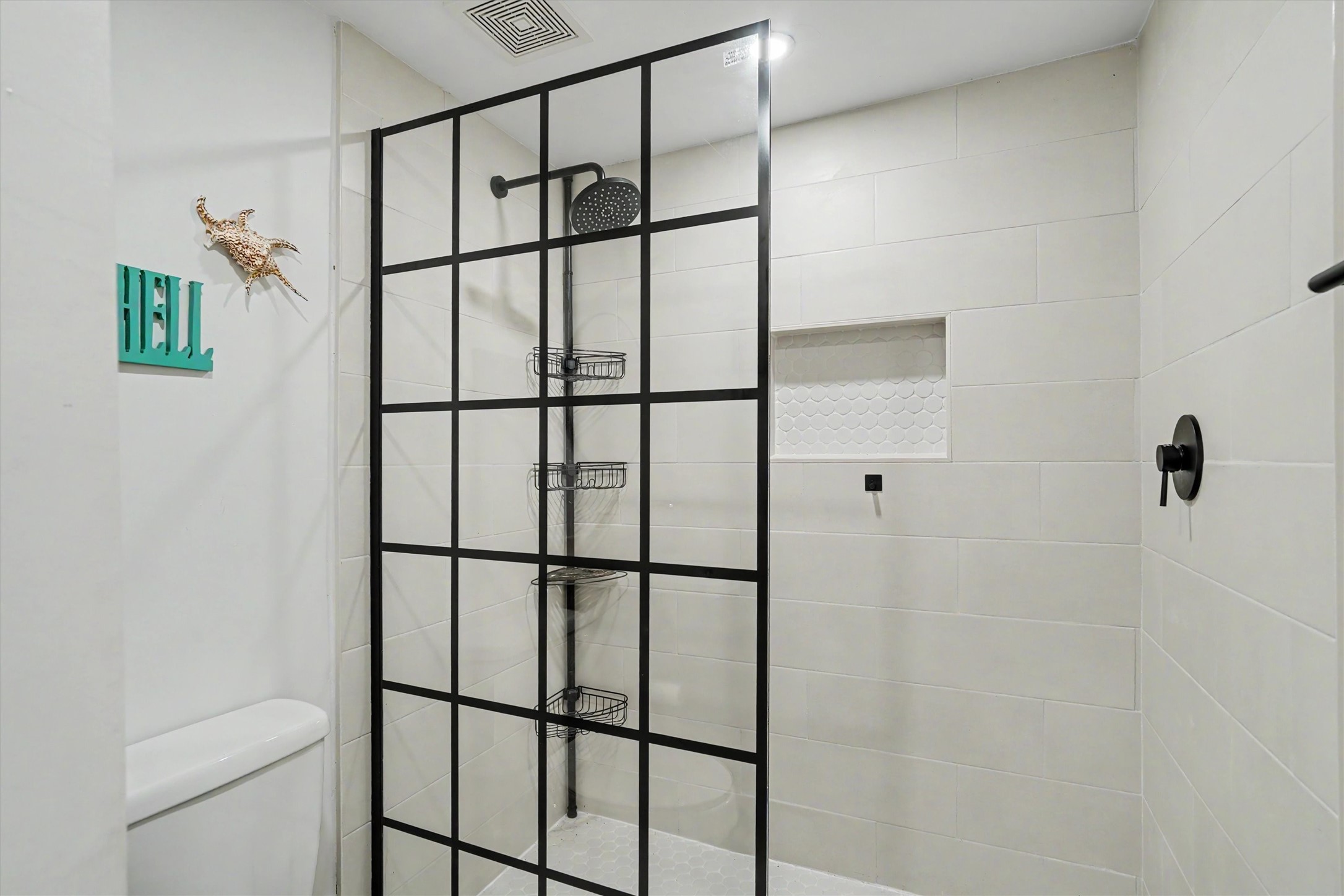 Downstairs updated walk in shower