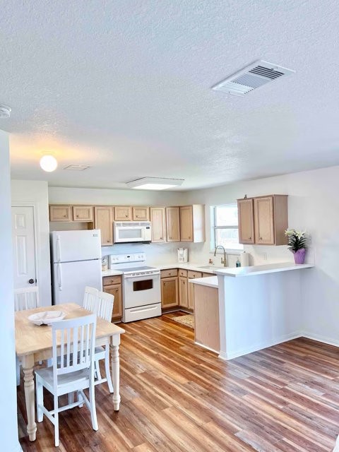 in kitchen dining