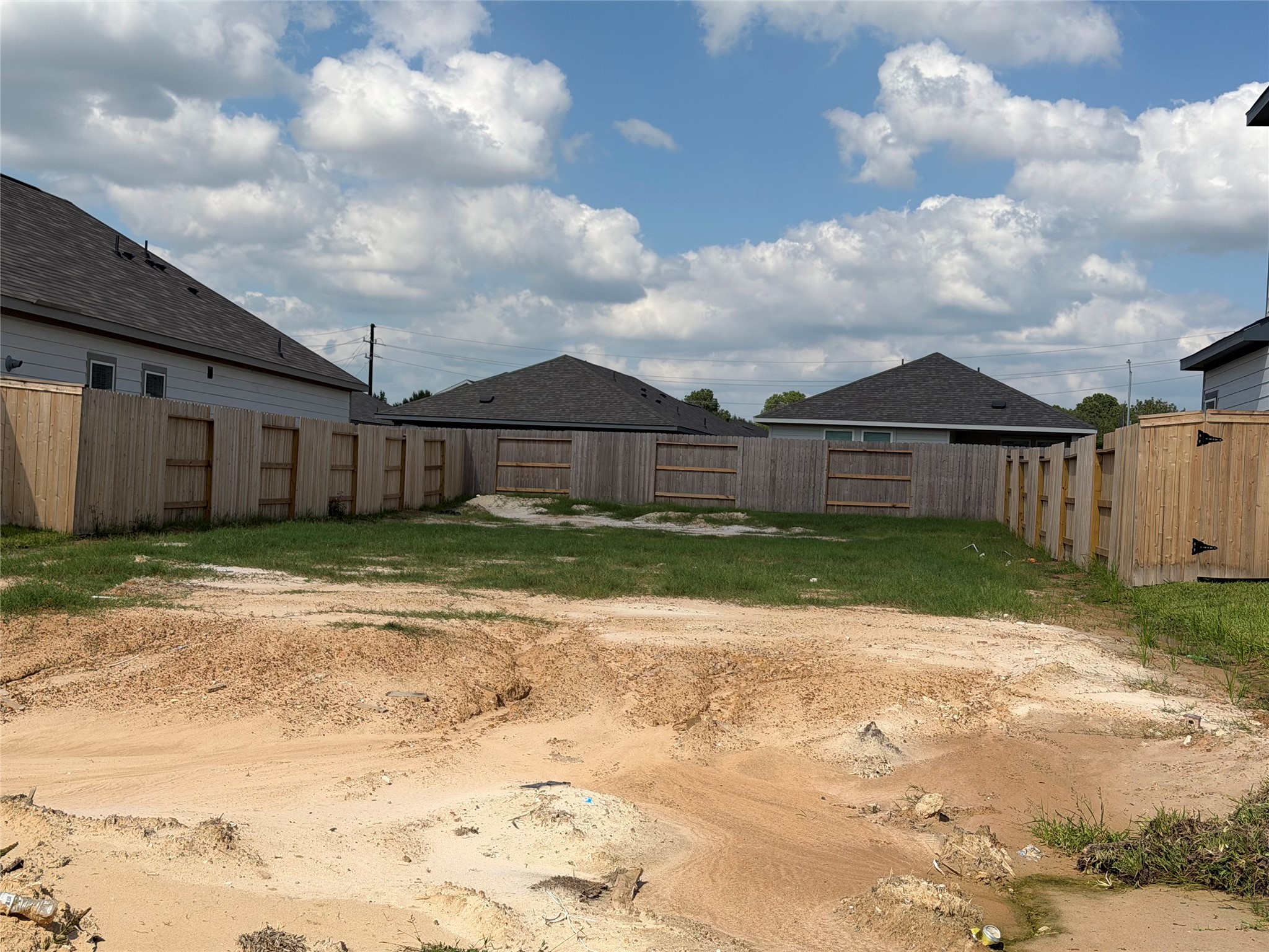 29218 Dandelion Sky Drive, Waller, TX 77484