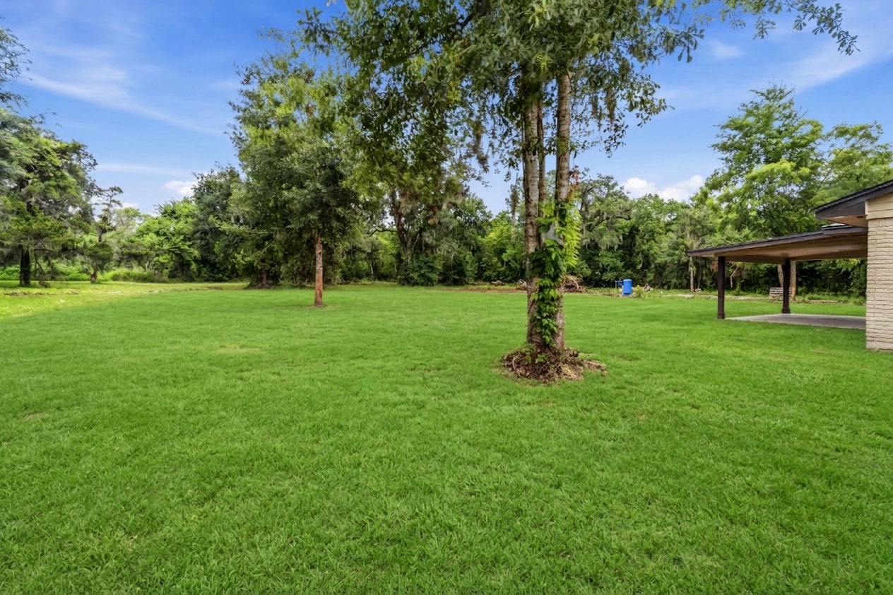 grass digitally added to illustrate upcoming seasonal growth