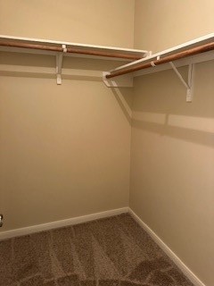 large primary closet