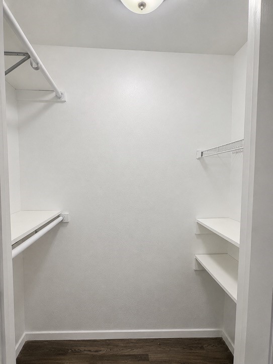 Primary closet
