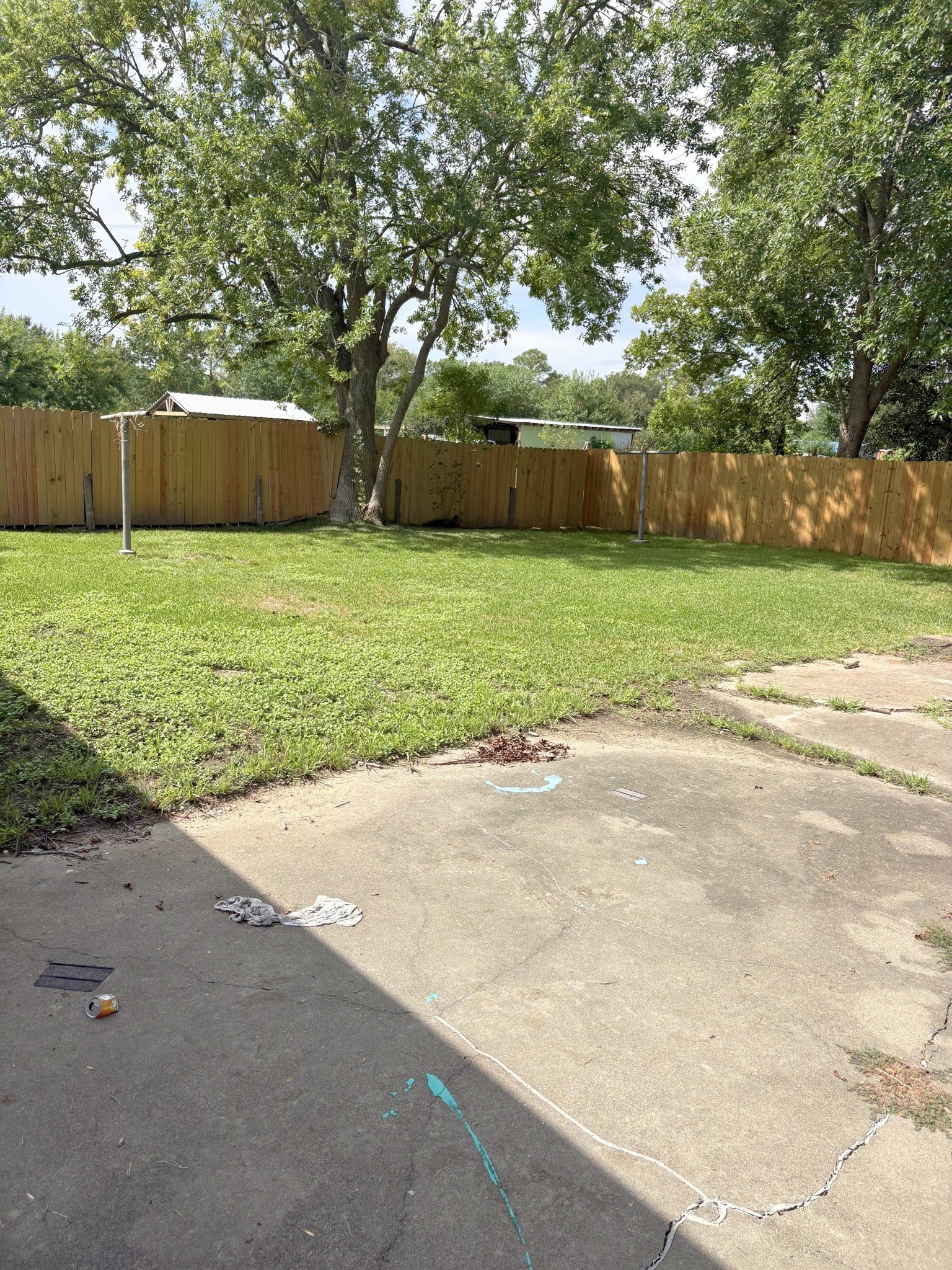 A broad grassy yard and mature tree give the outdoor space its own appeal.