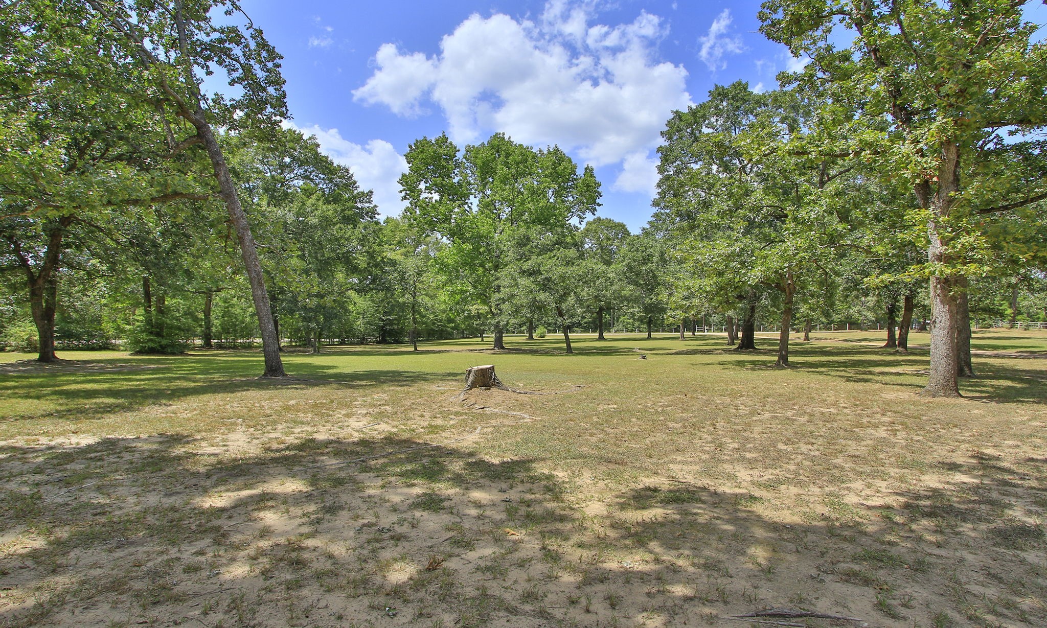 Come home every day to natures beauty.
Located in the highly sought-after FM 1486 area near Magnolia and FM 1774, with quick access to SH 249 and an easy commute to Tomball and College Station. Come home every day to natures beauty.
Located in the highly sought-after FM 1486 area near Magnolia and FM 1774, with quick access to SH 249 and an easy commute to Tomball and College Station.