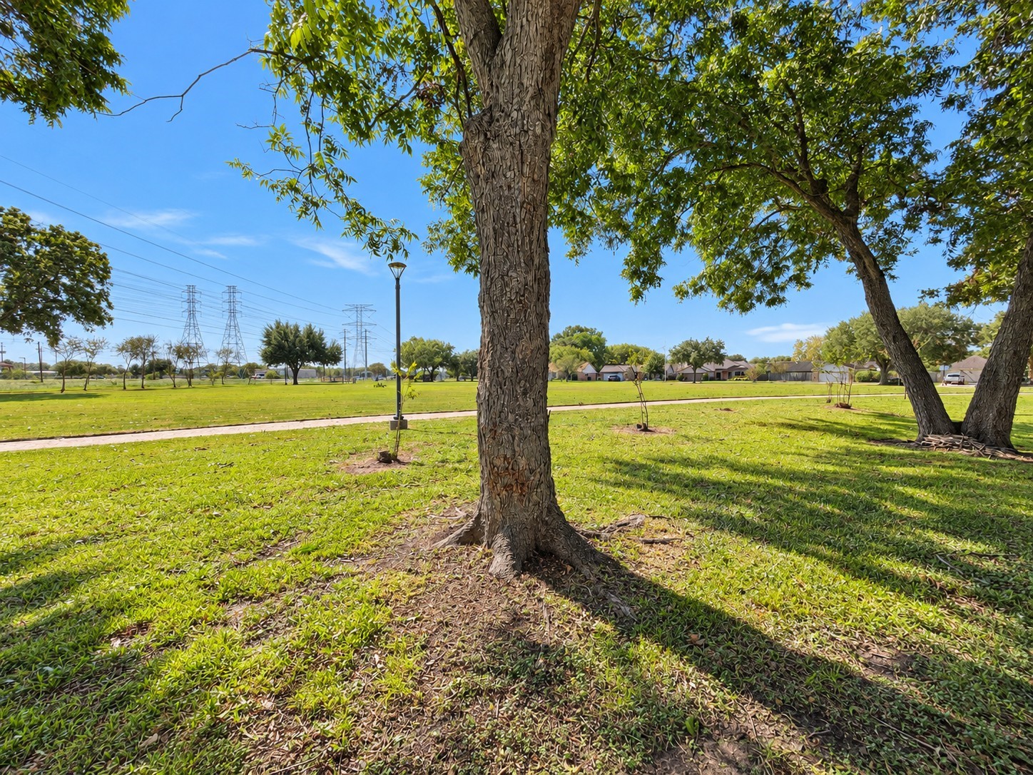 Park