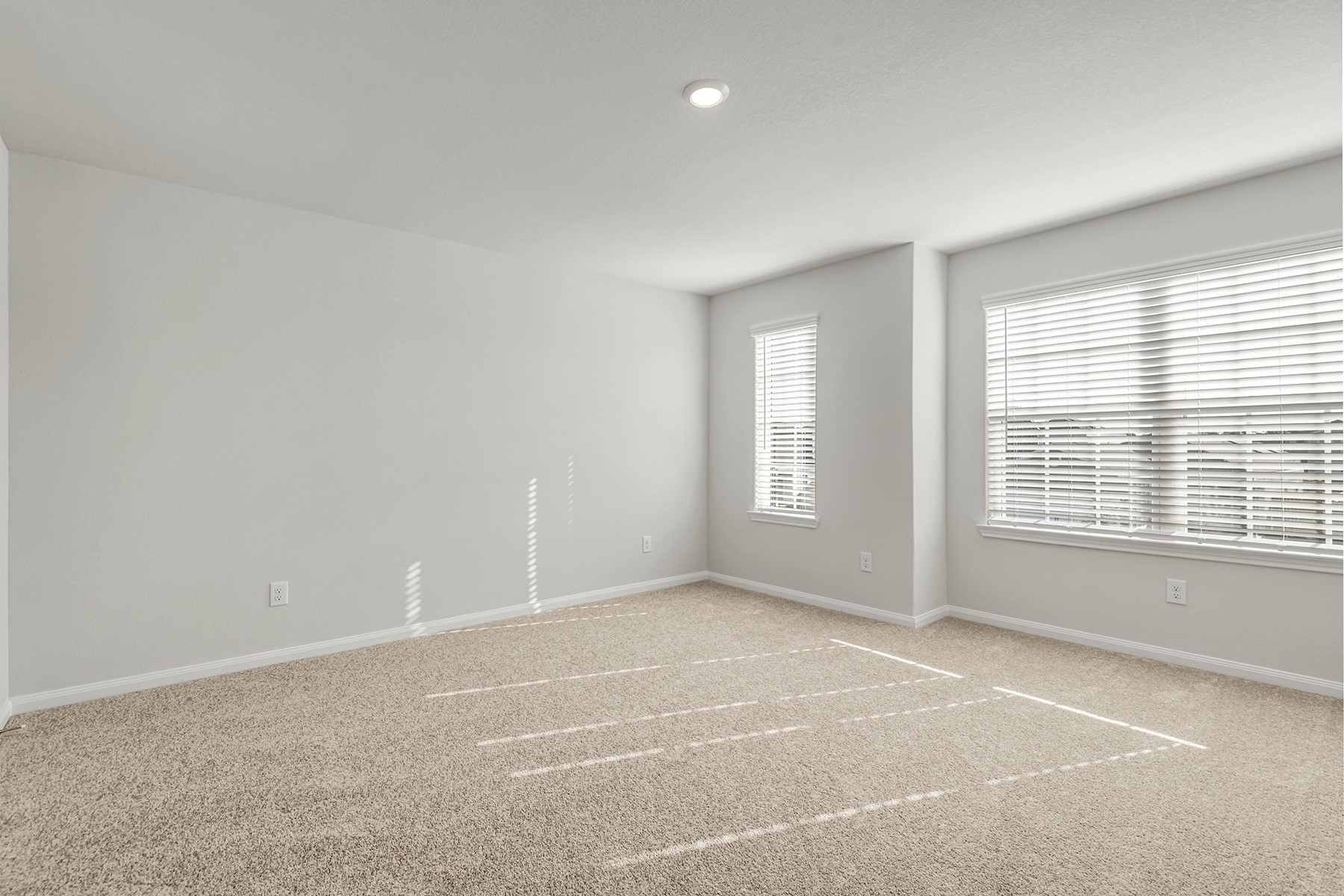 8205 Vanilla Orchid Drive, Houston, TX 77016