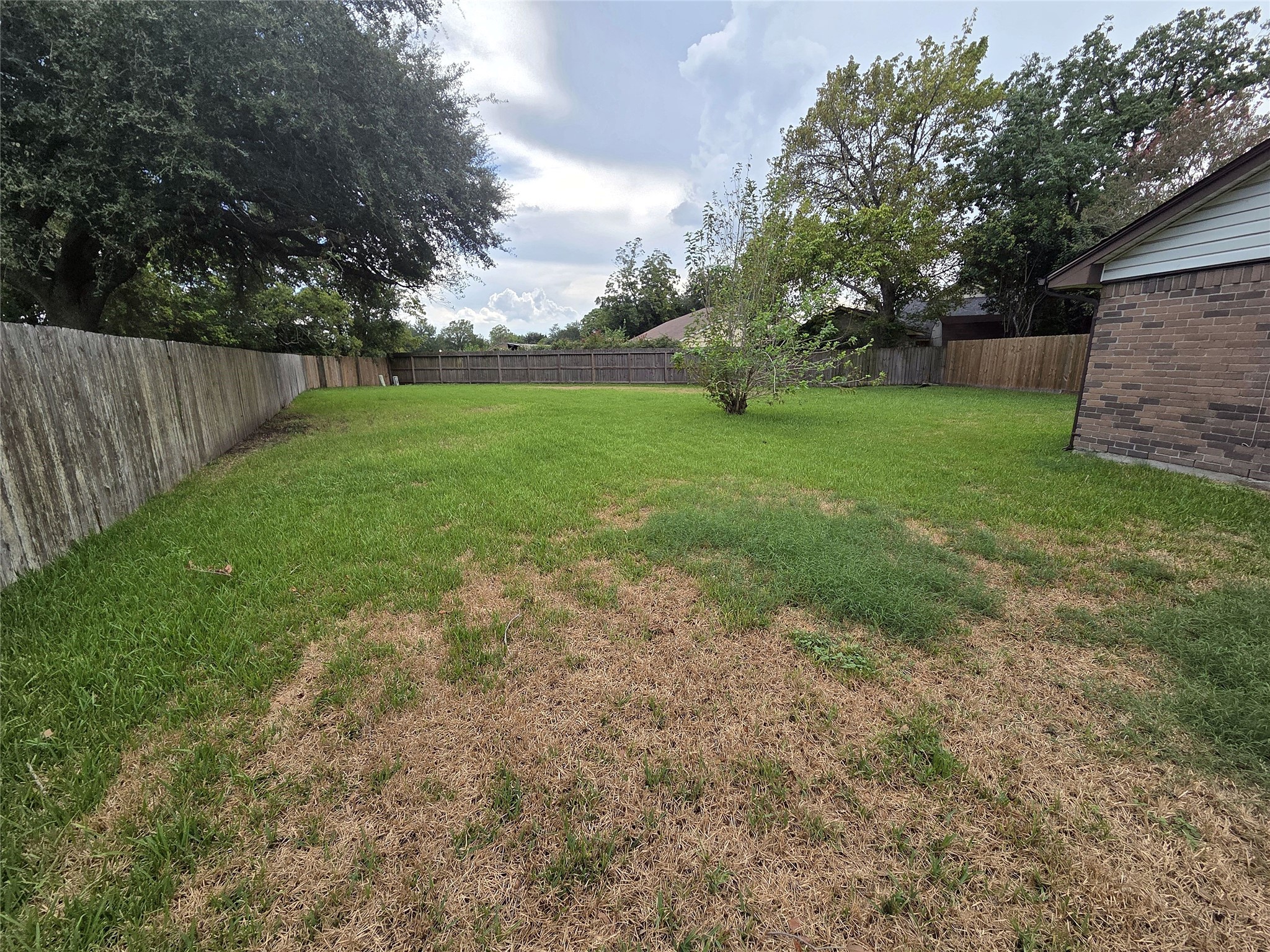 Another backyard angle shows the lawn, mature trees, and wood privacy fencing.