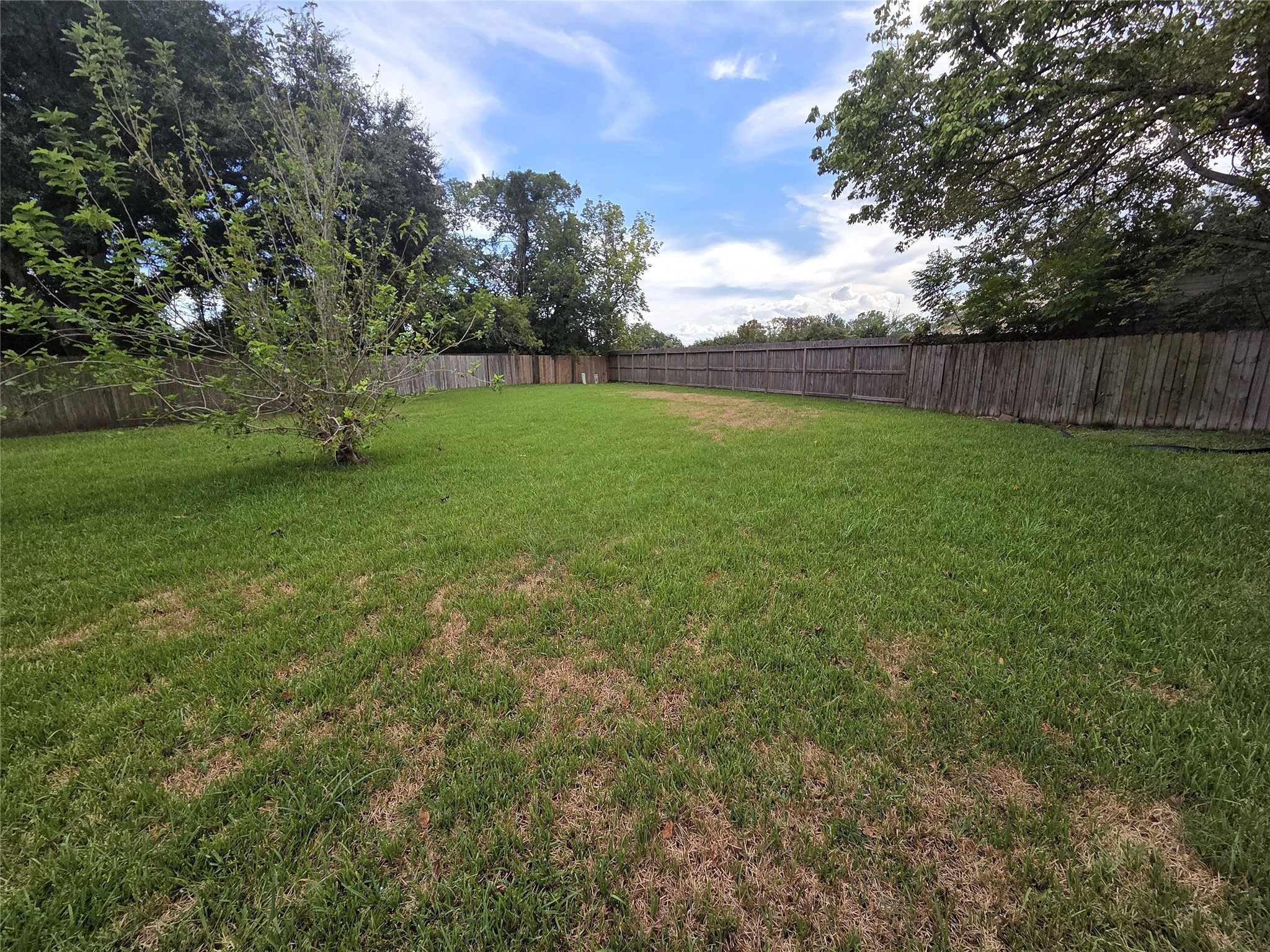 Fenced backyard with open lawn space for gardening, play, or outdoor gatherings.