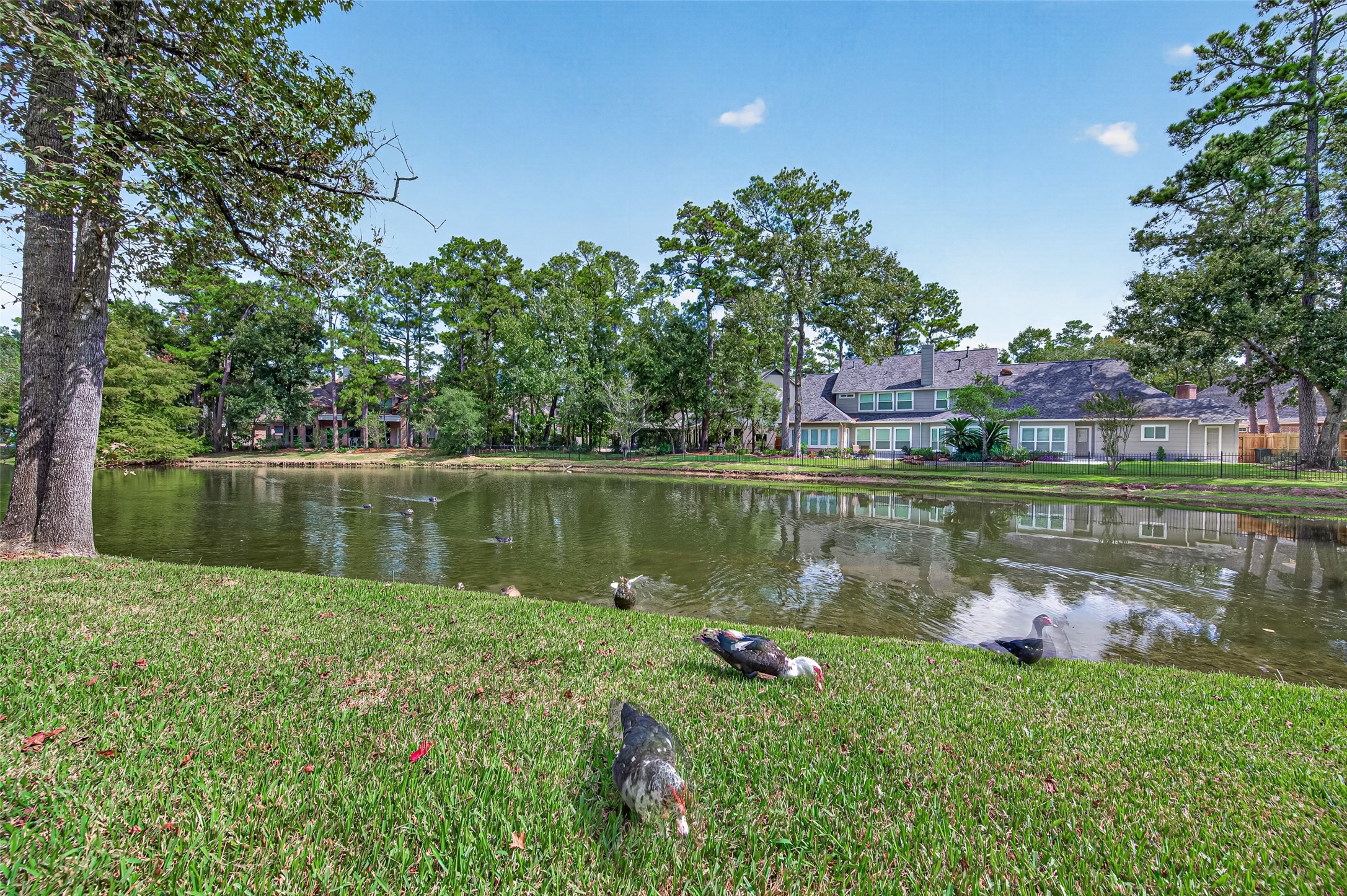 2 Turtle Rock Court, Spring, TX 77381