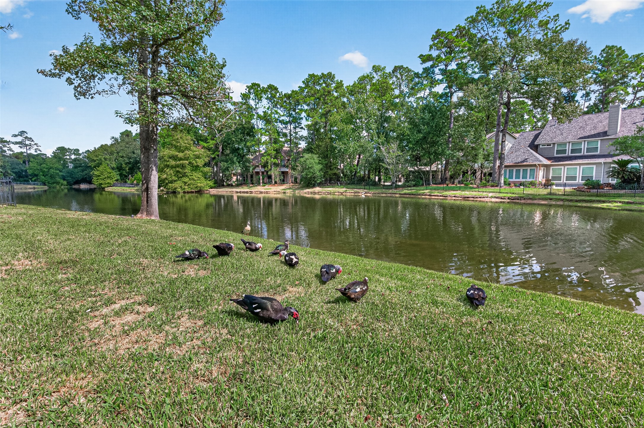 2 Turtle Rock Court, Spring, TX 77381