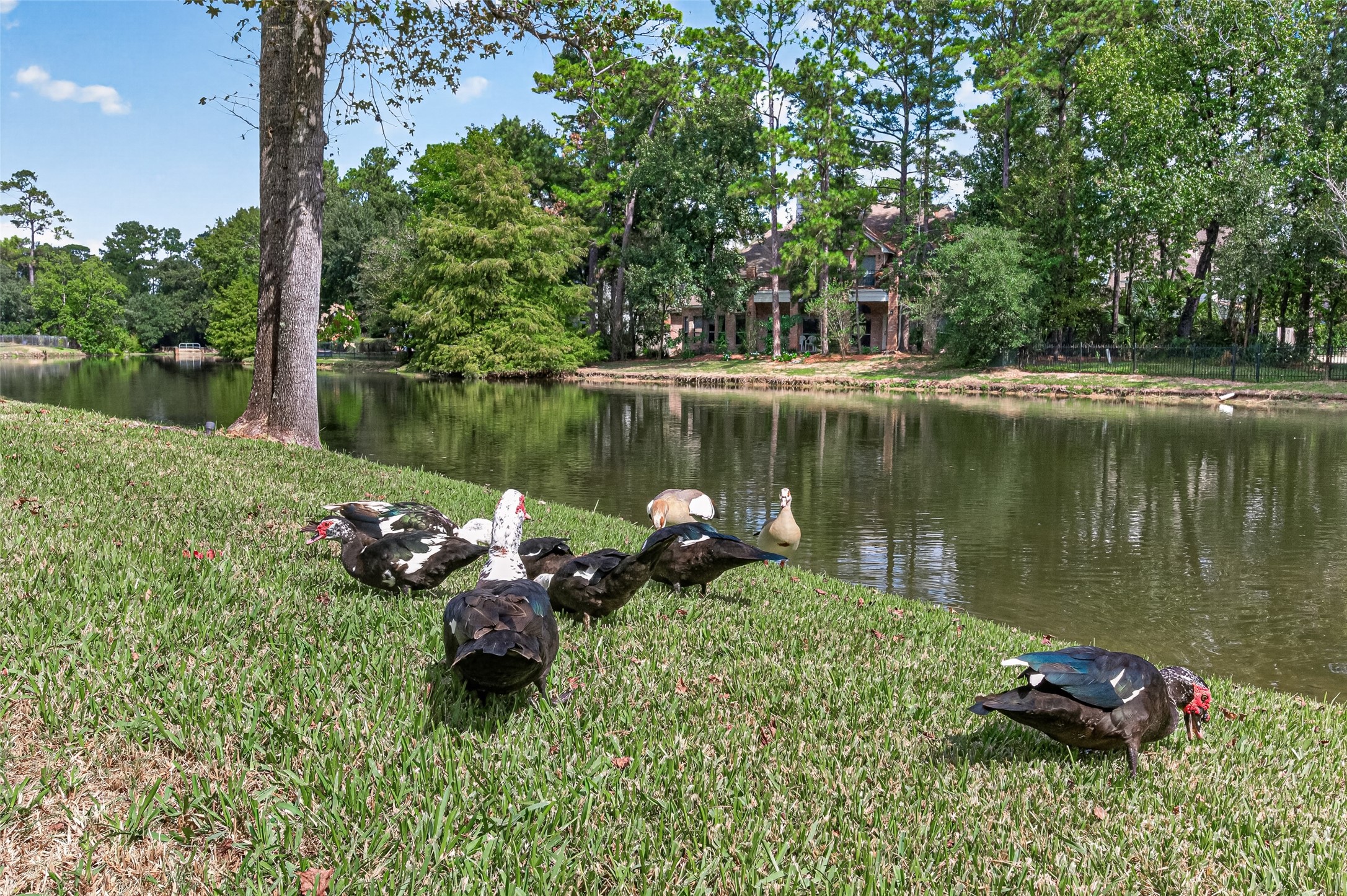 2 Turtle Rock Court, Spring, TX 77381