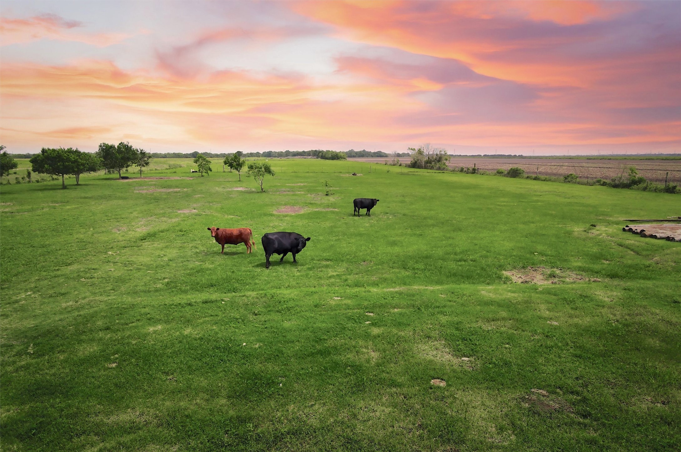 8007 County Road 170, Alvin, TX 77511 8007 County Road 170, Alvin, TX 77511