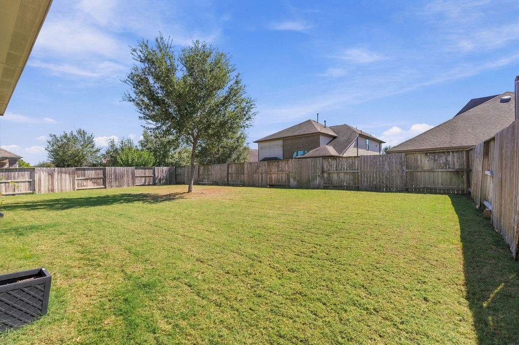 Expansive fenced backyard with lush green lawn and a single mature tree, perfect for outdoor activities and relaxation.